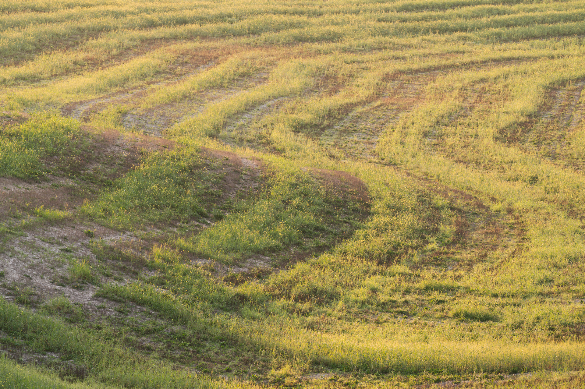 Plowed geometries