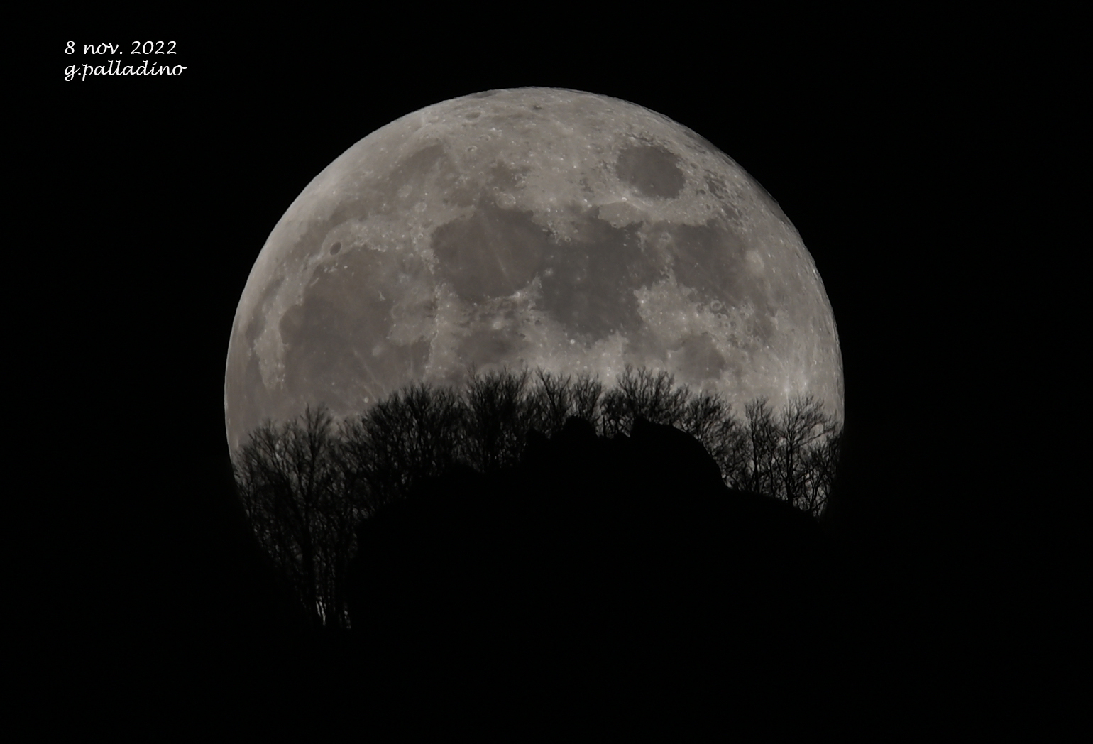 Among the beech trees of Mount Gelbison