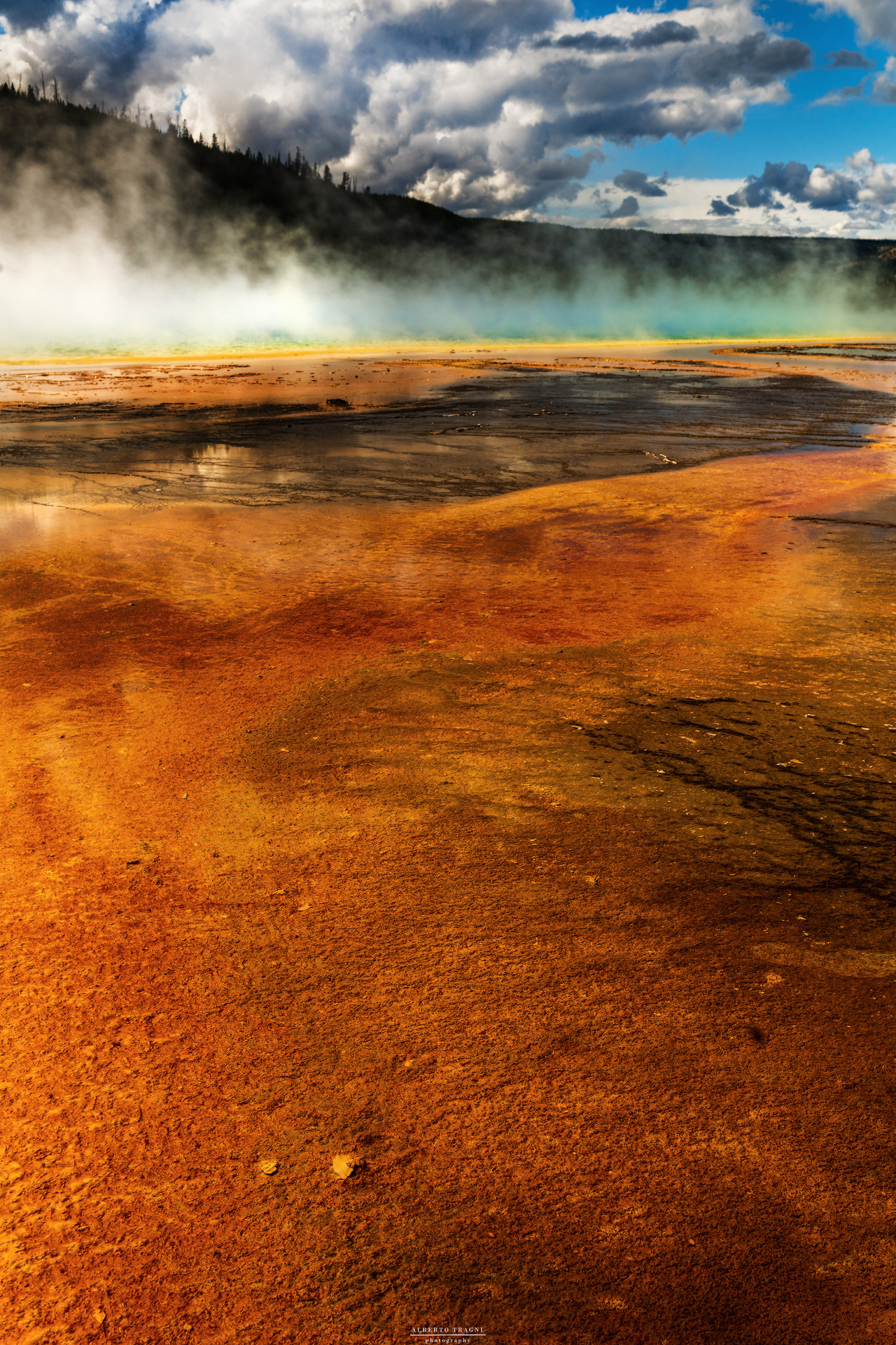 Un mondo di batteri ferrosi