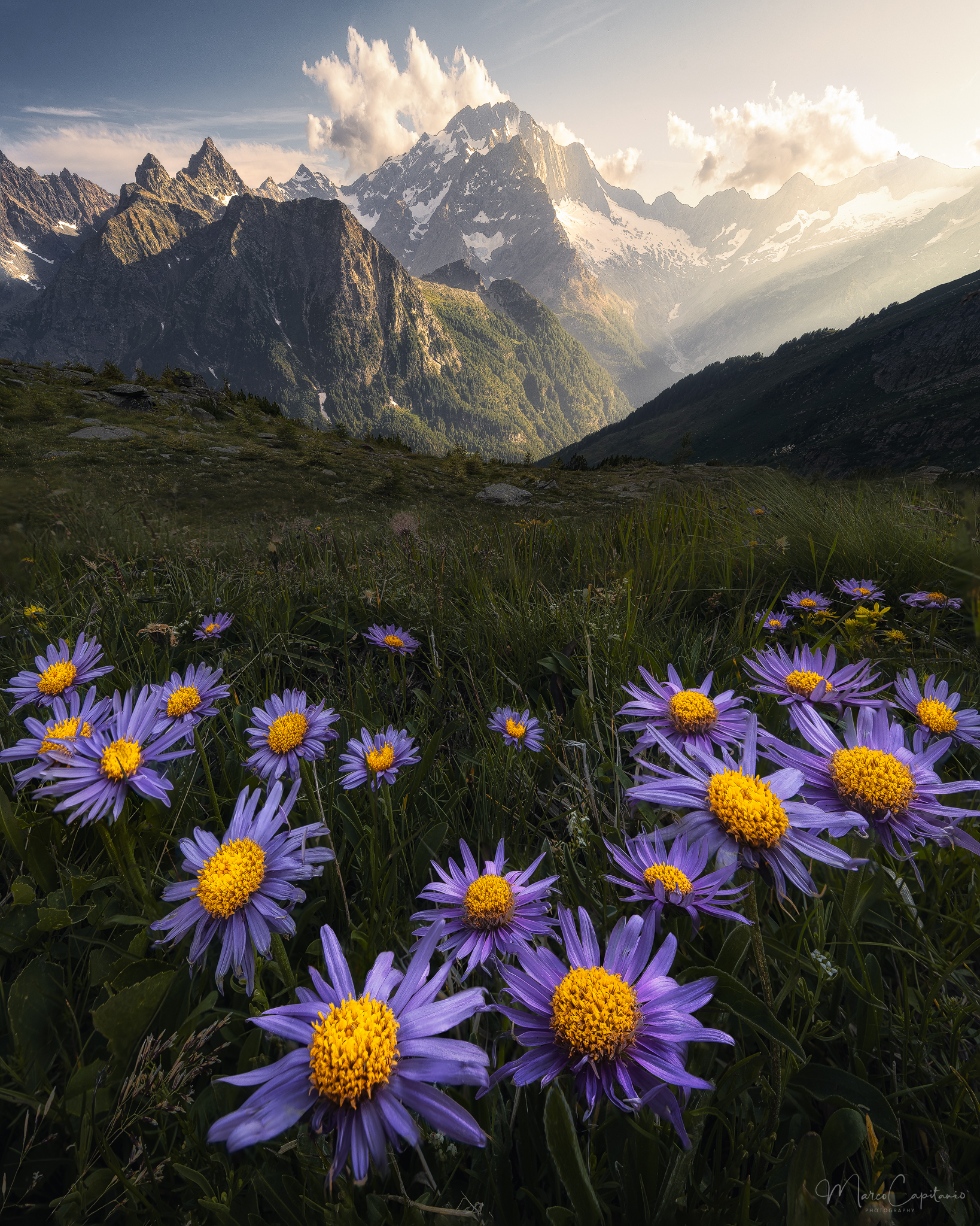 The Call of the Mountains