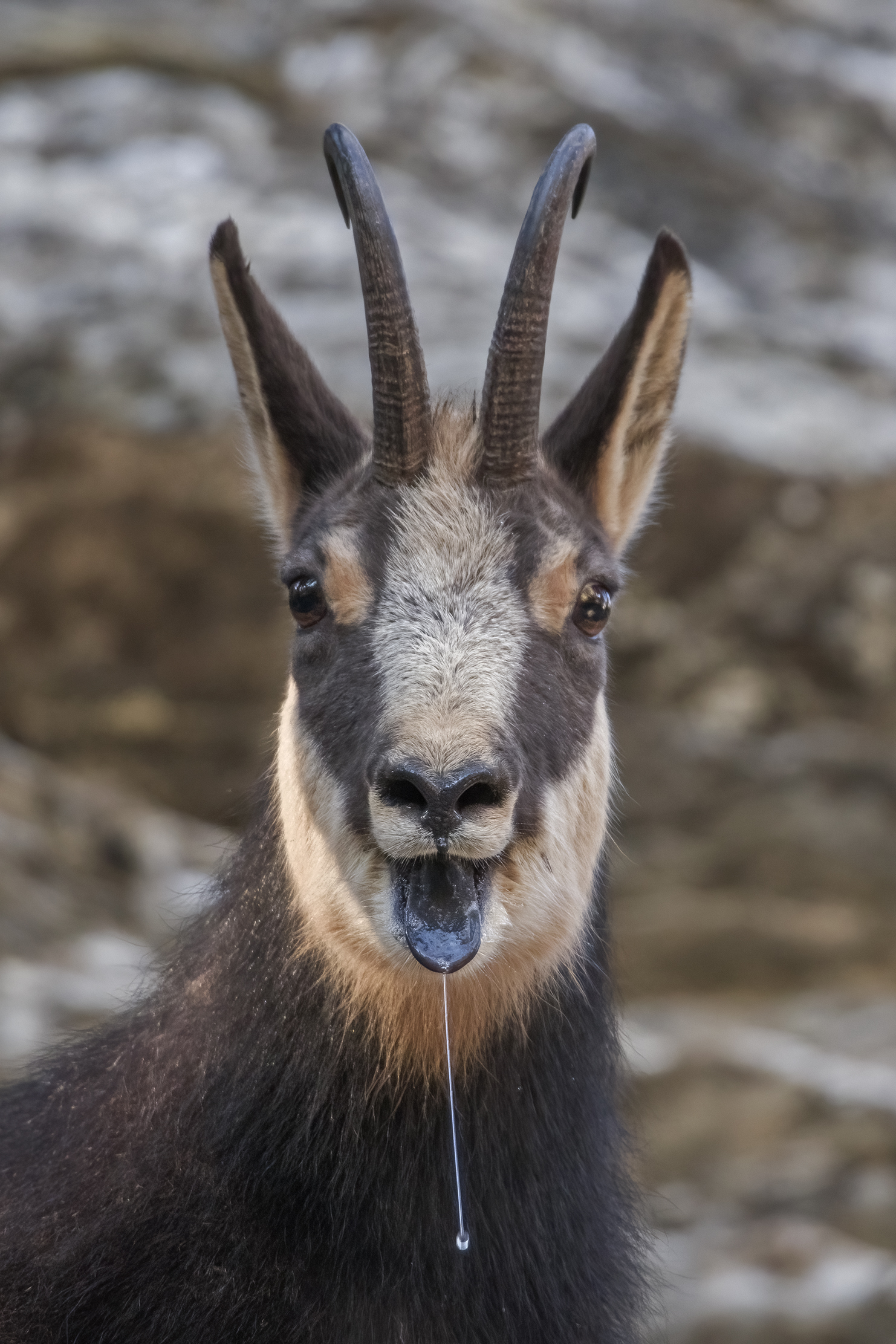 Che fatica l'amore...