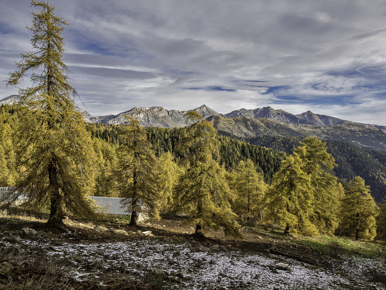 Autunno alle navette