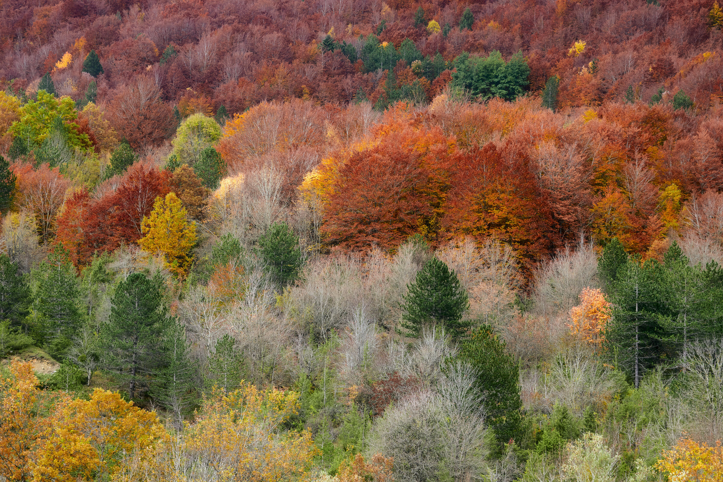 autunno