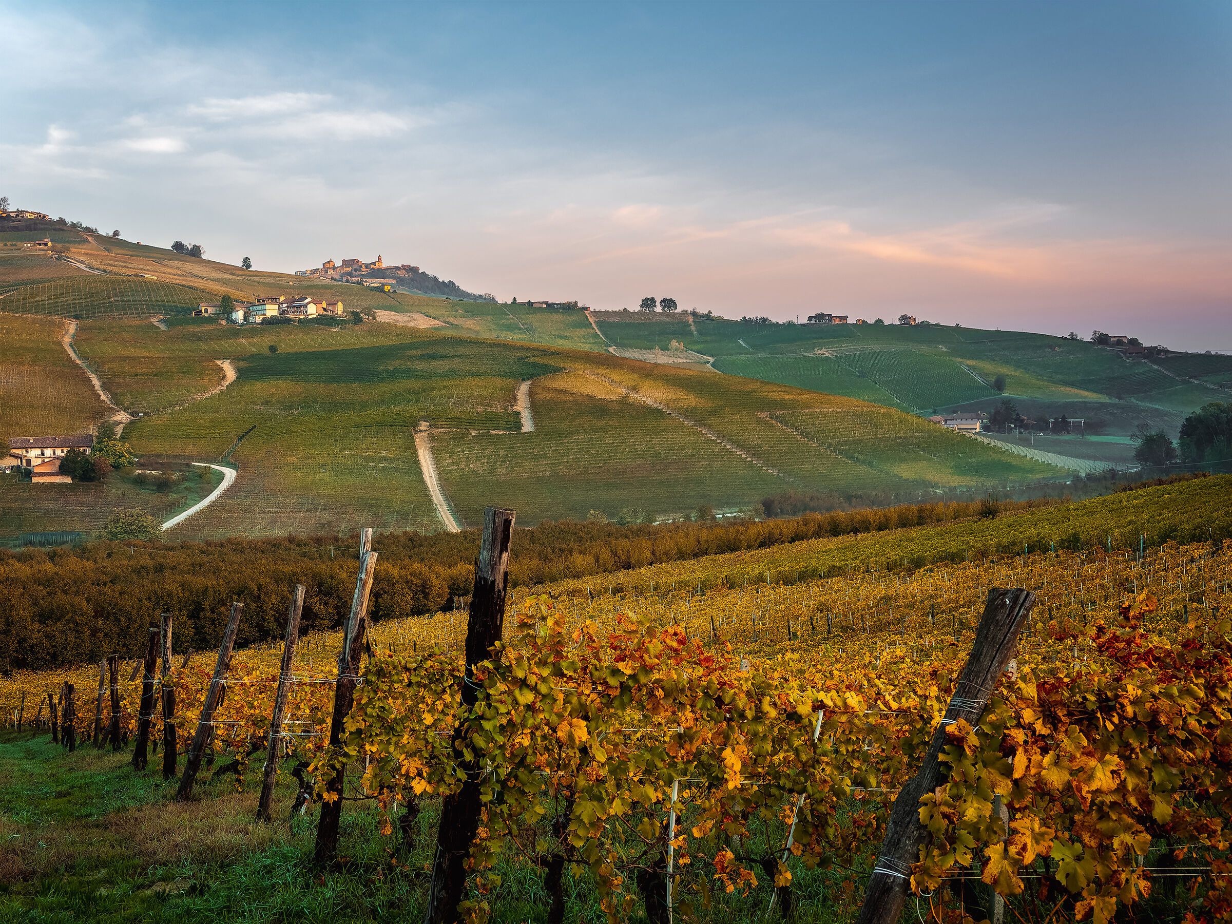 Un mattino tra le vigne di Barolo
