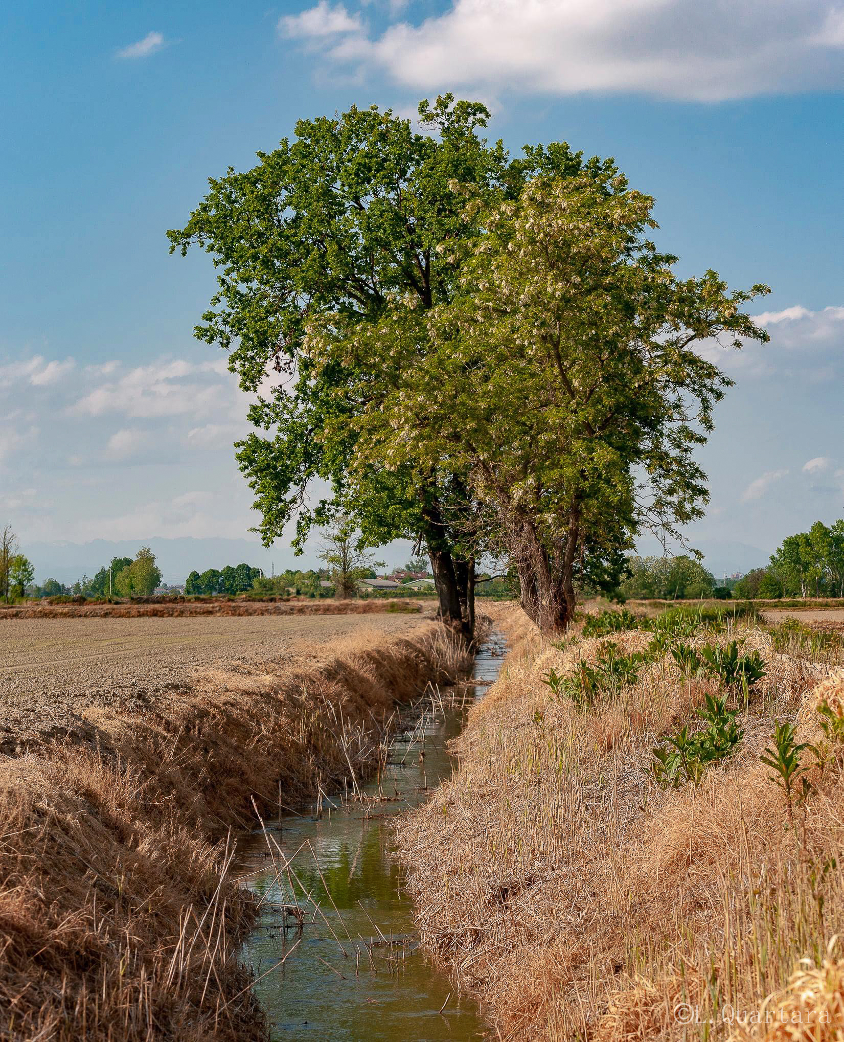 campagna novarese