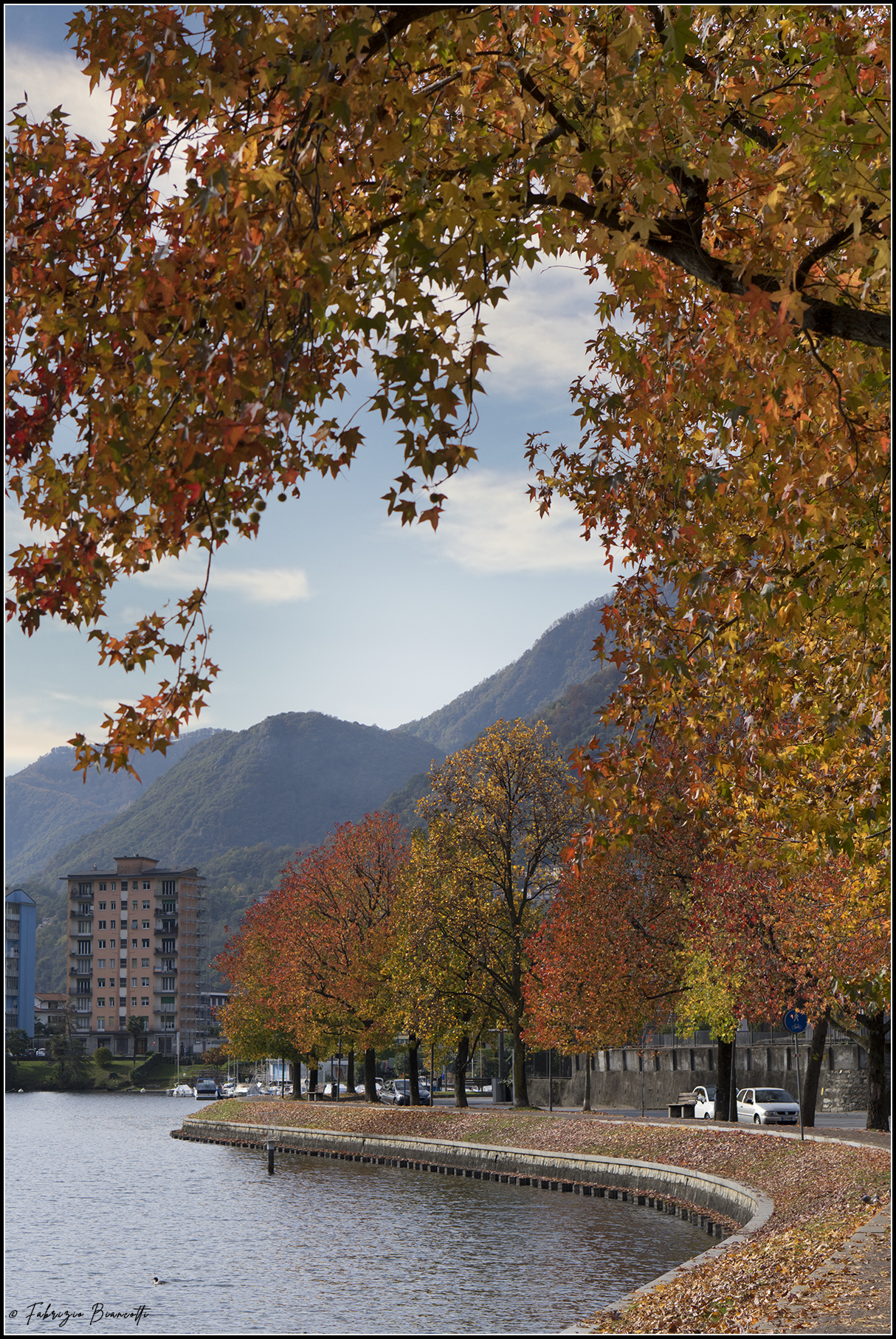 Colori di casa