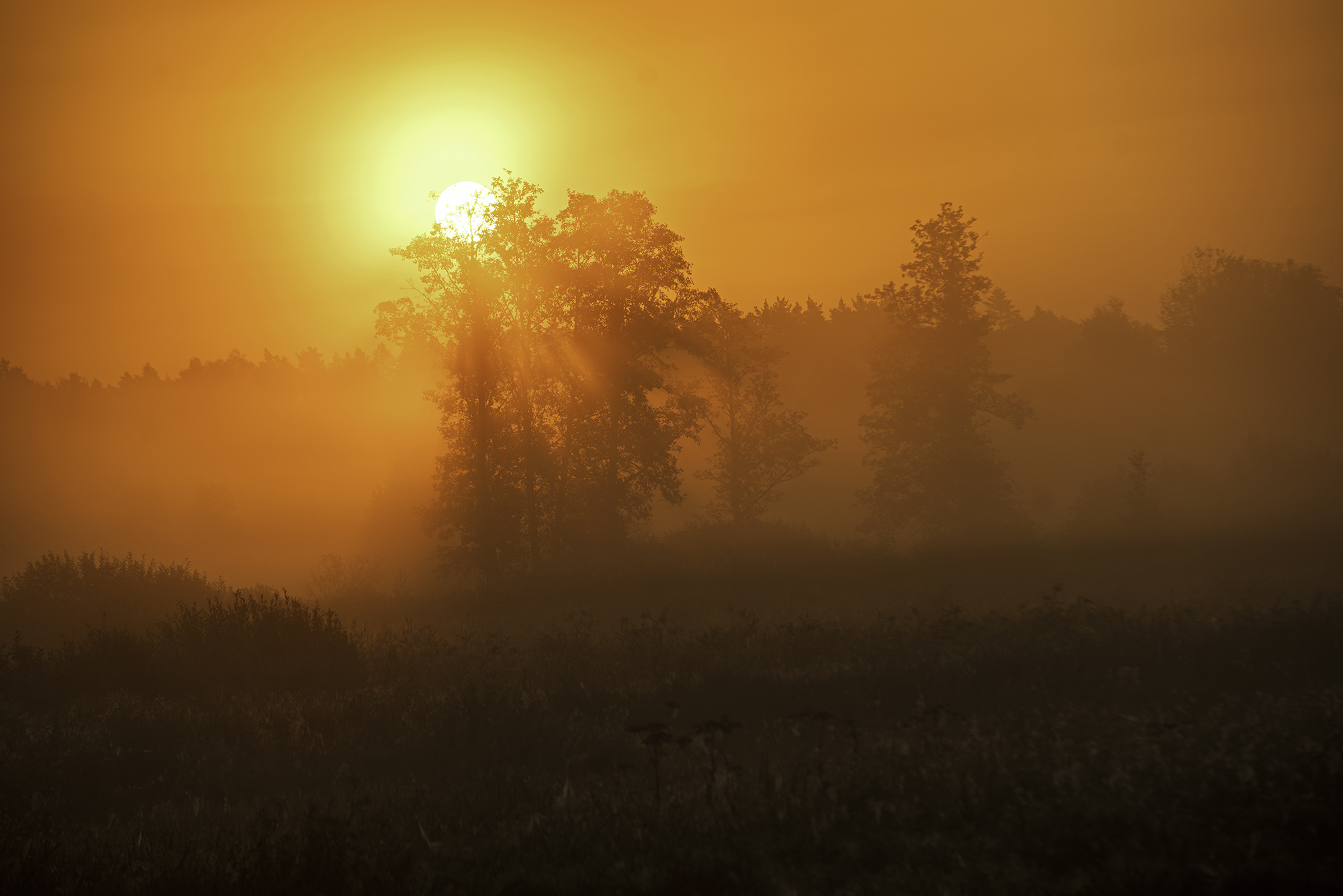 Sole mattutino