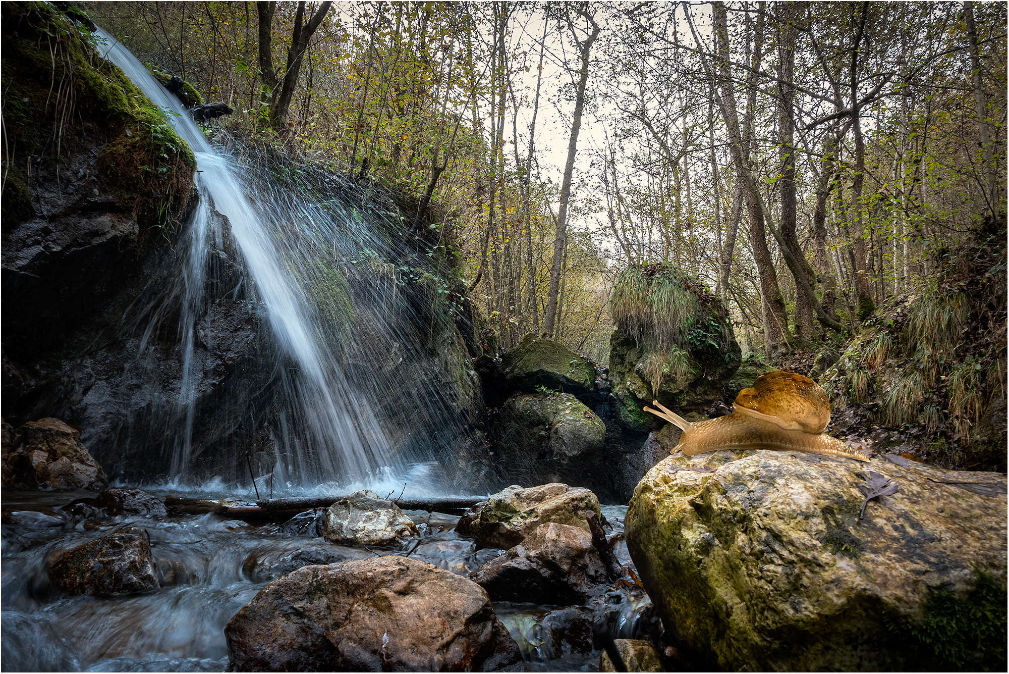 The waterfall (snail added in post)