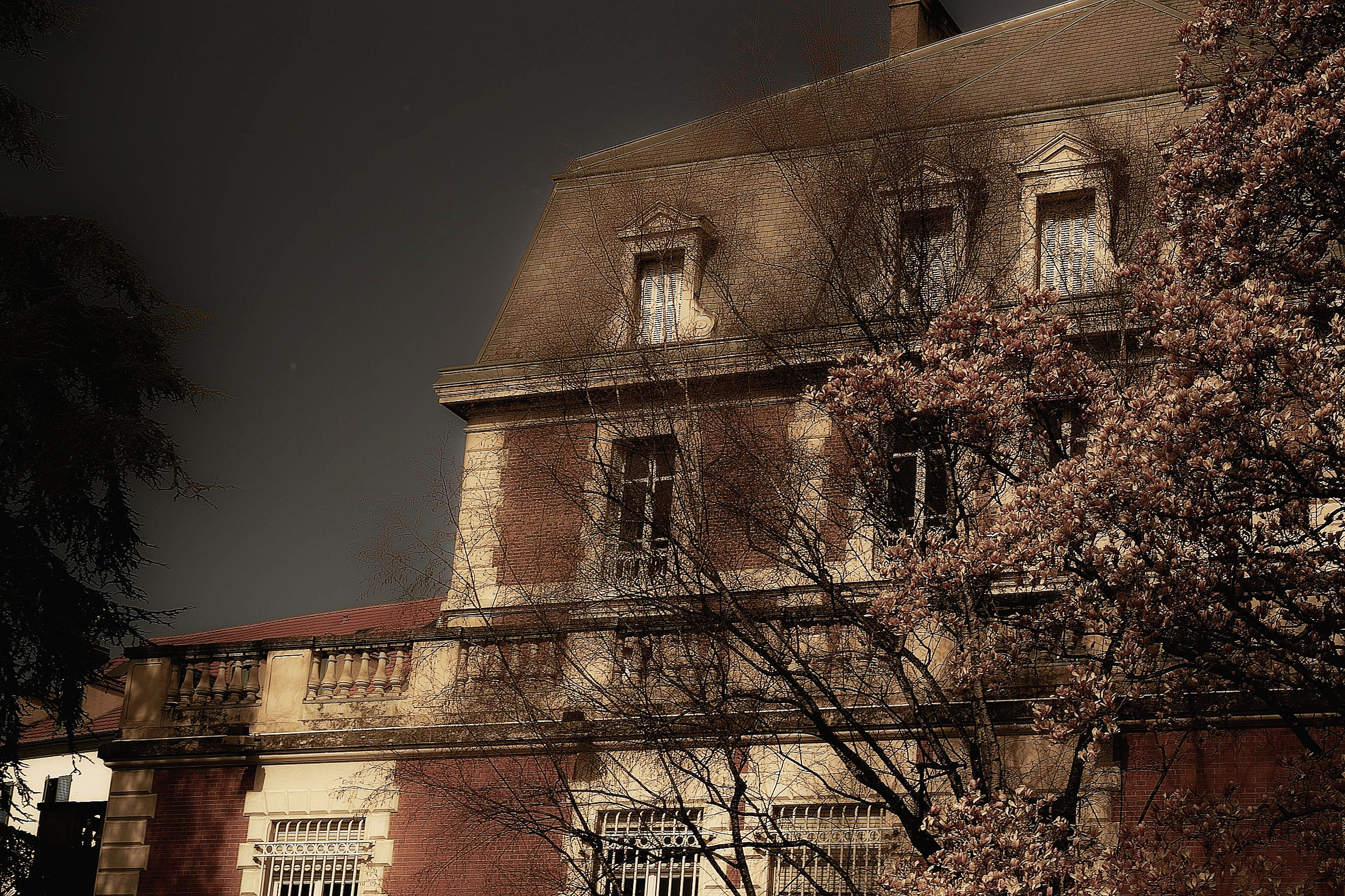 La vie en rose (Pau, France)