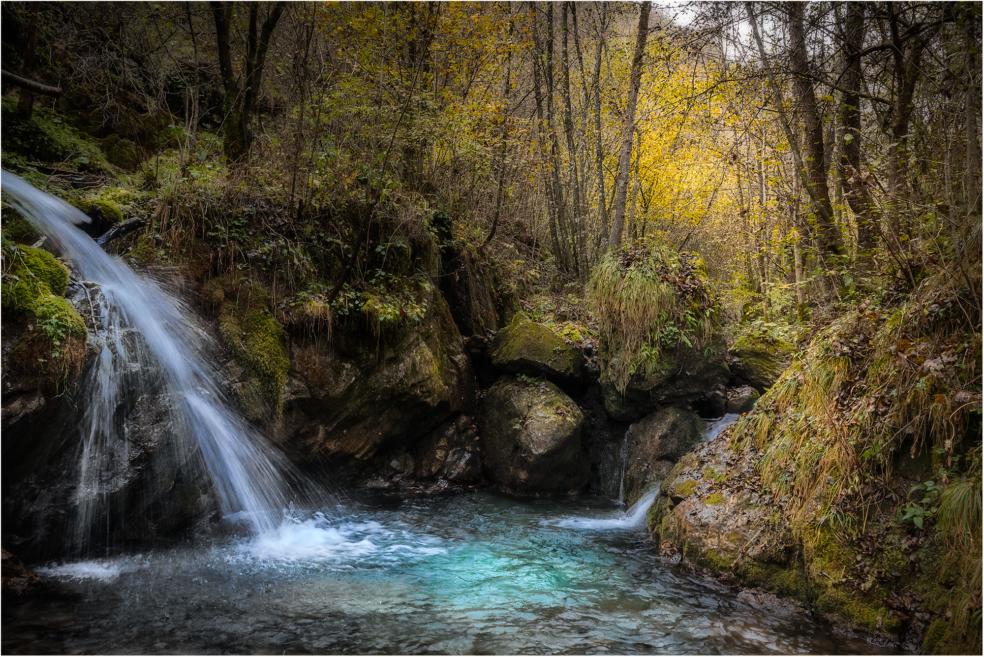 The enchantment of nature