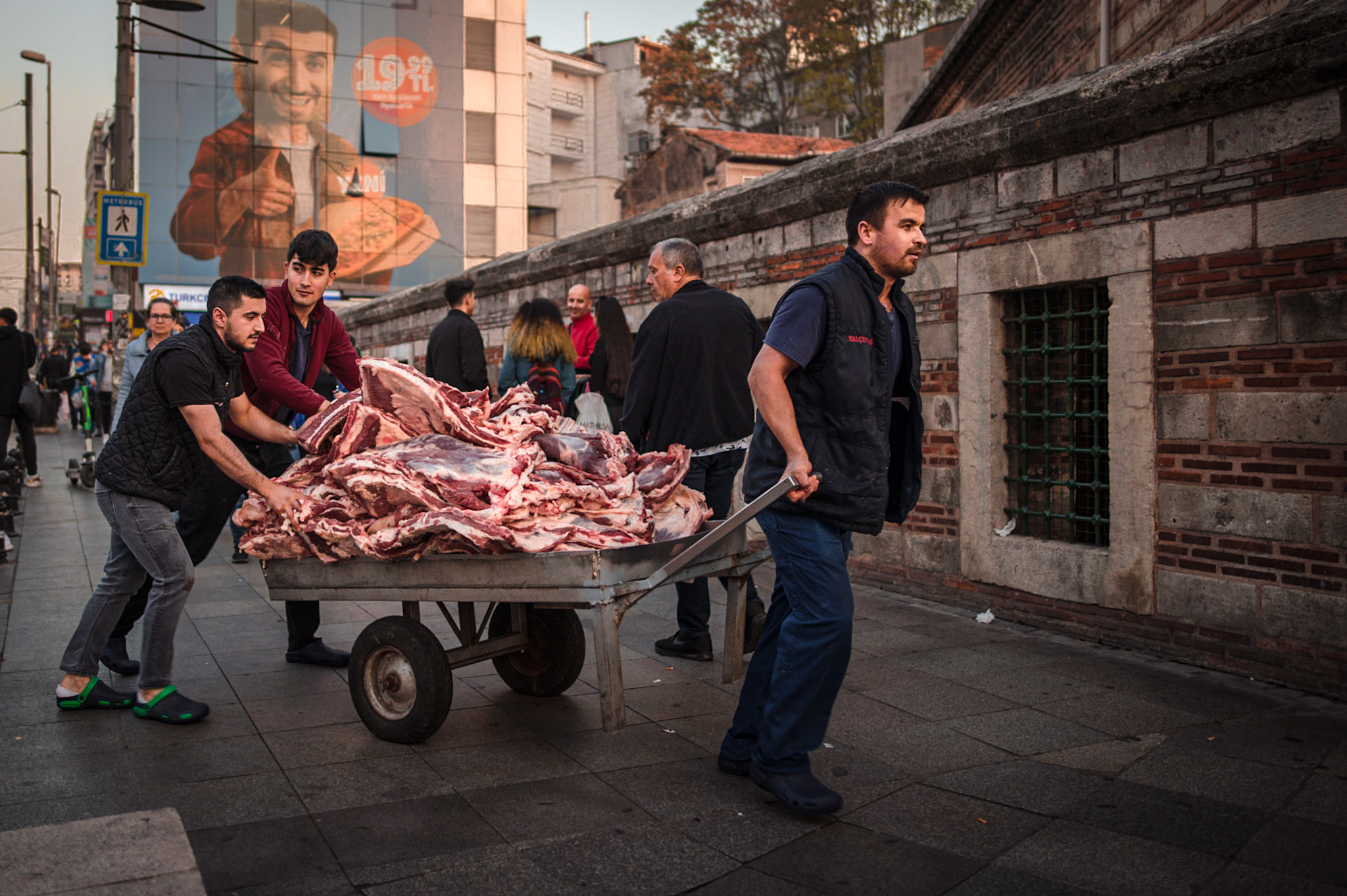 City cow, Istanbul