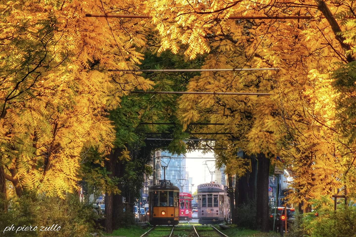 Autunno Milanese