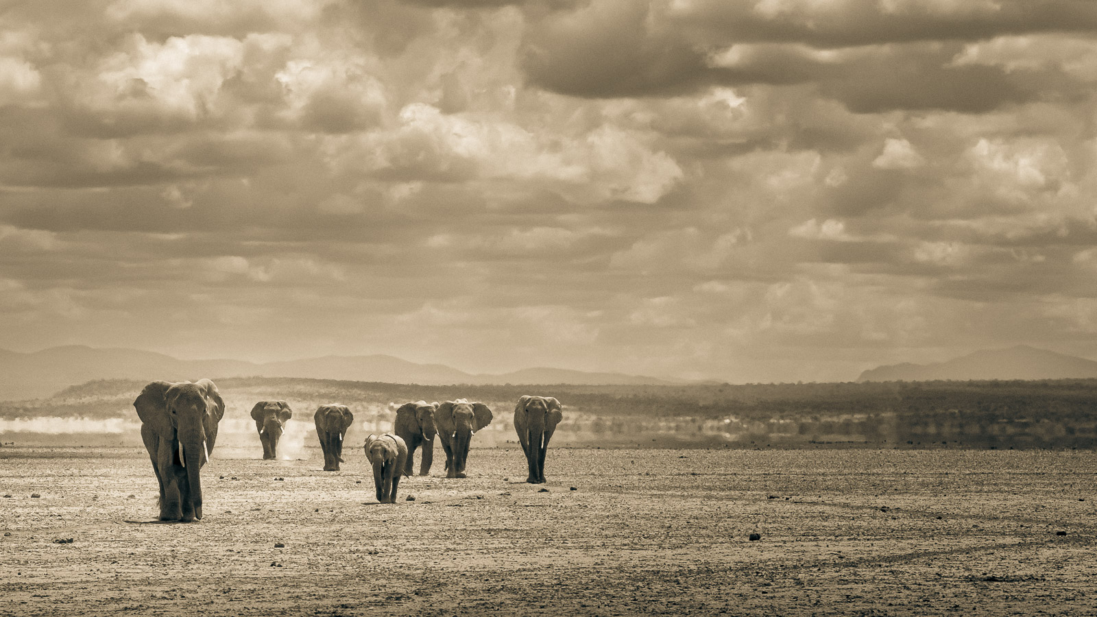 Avanzata in formazione