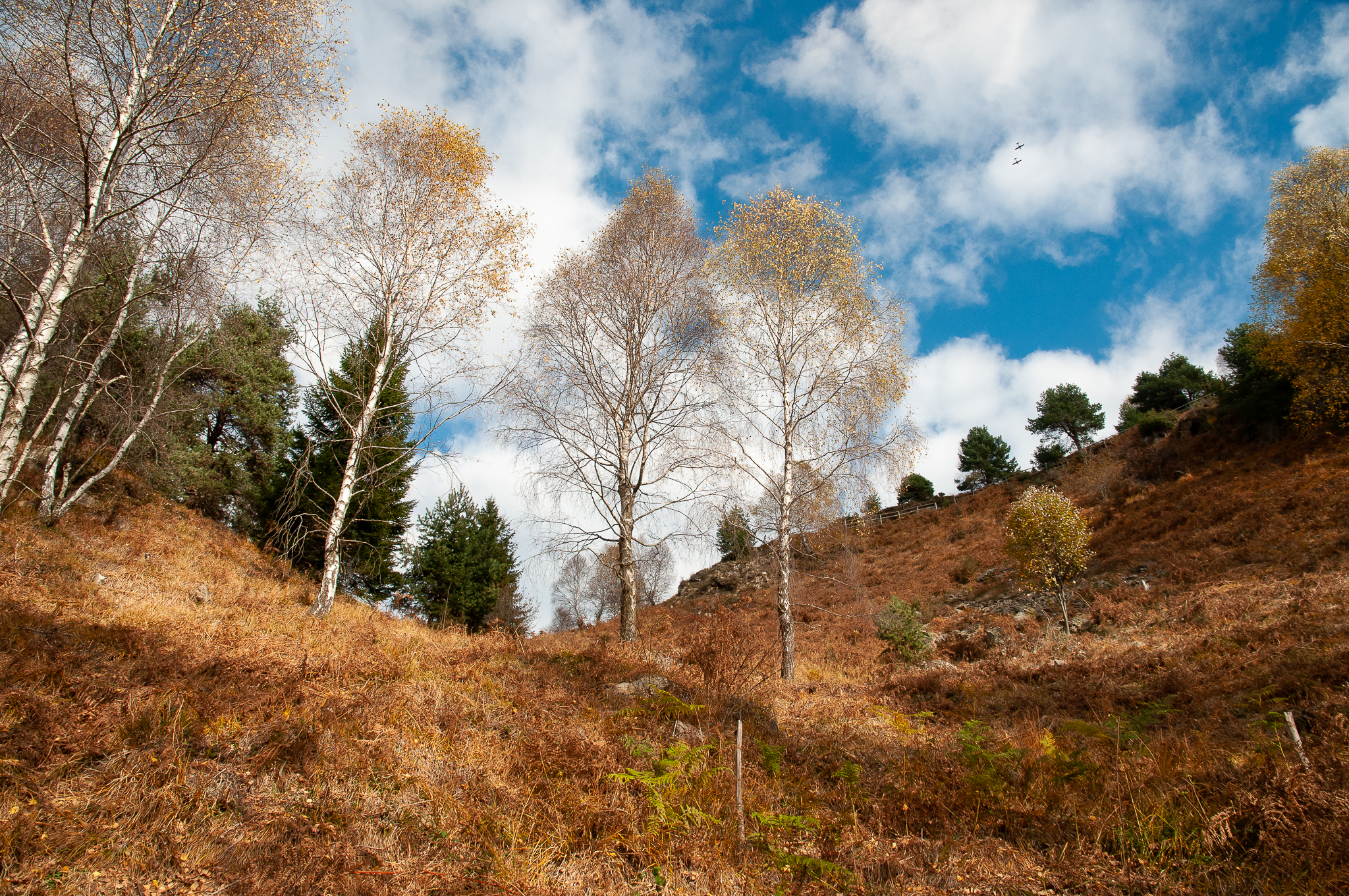 Autumn landscape