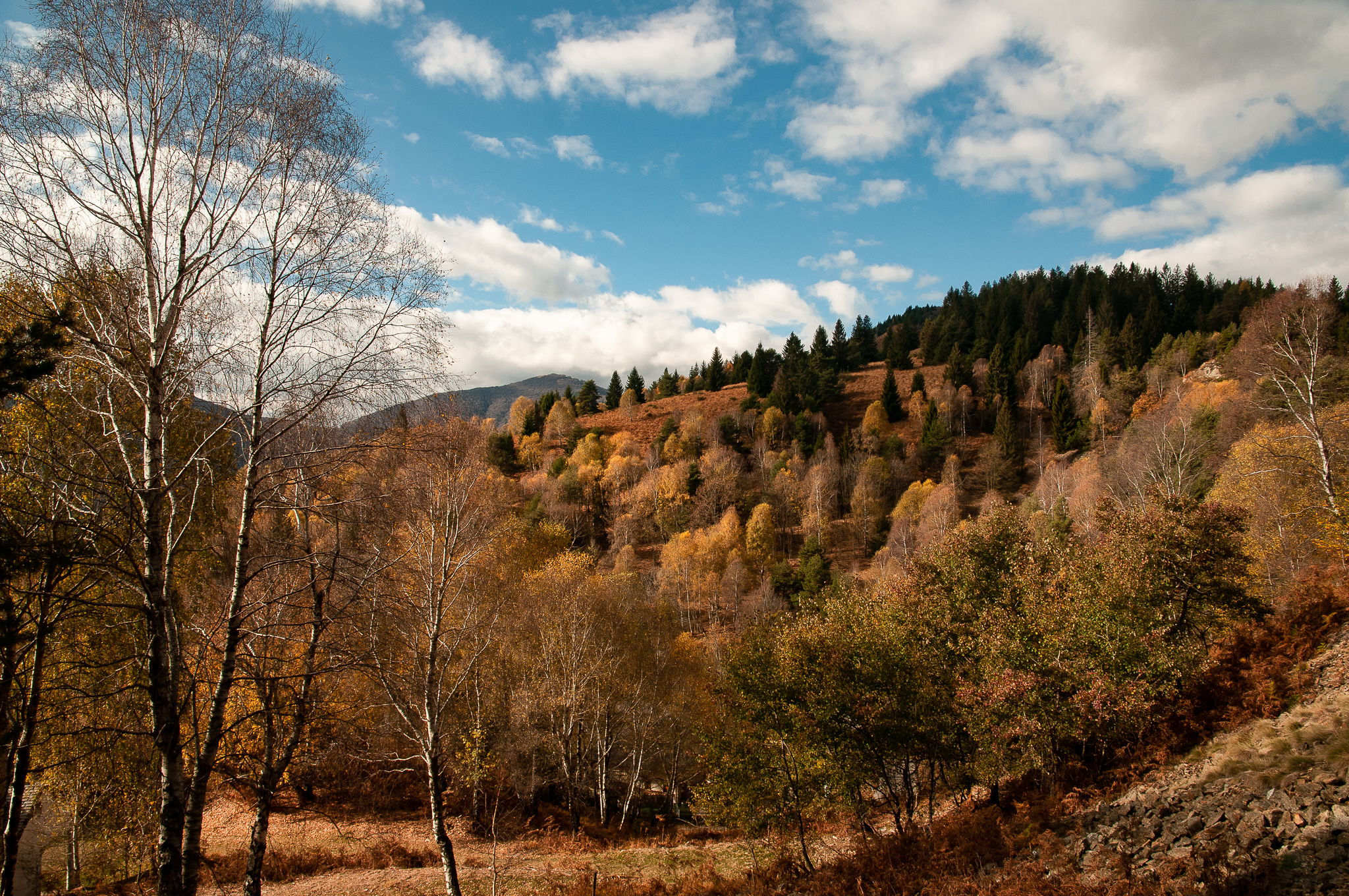 Autumn landscape 2