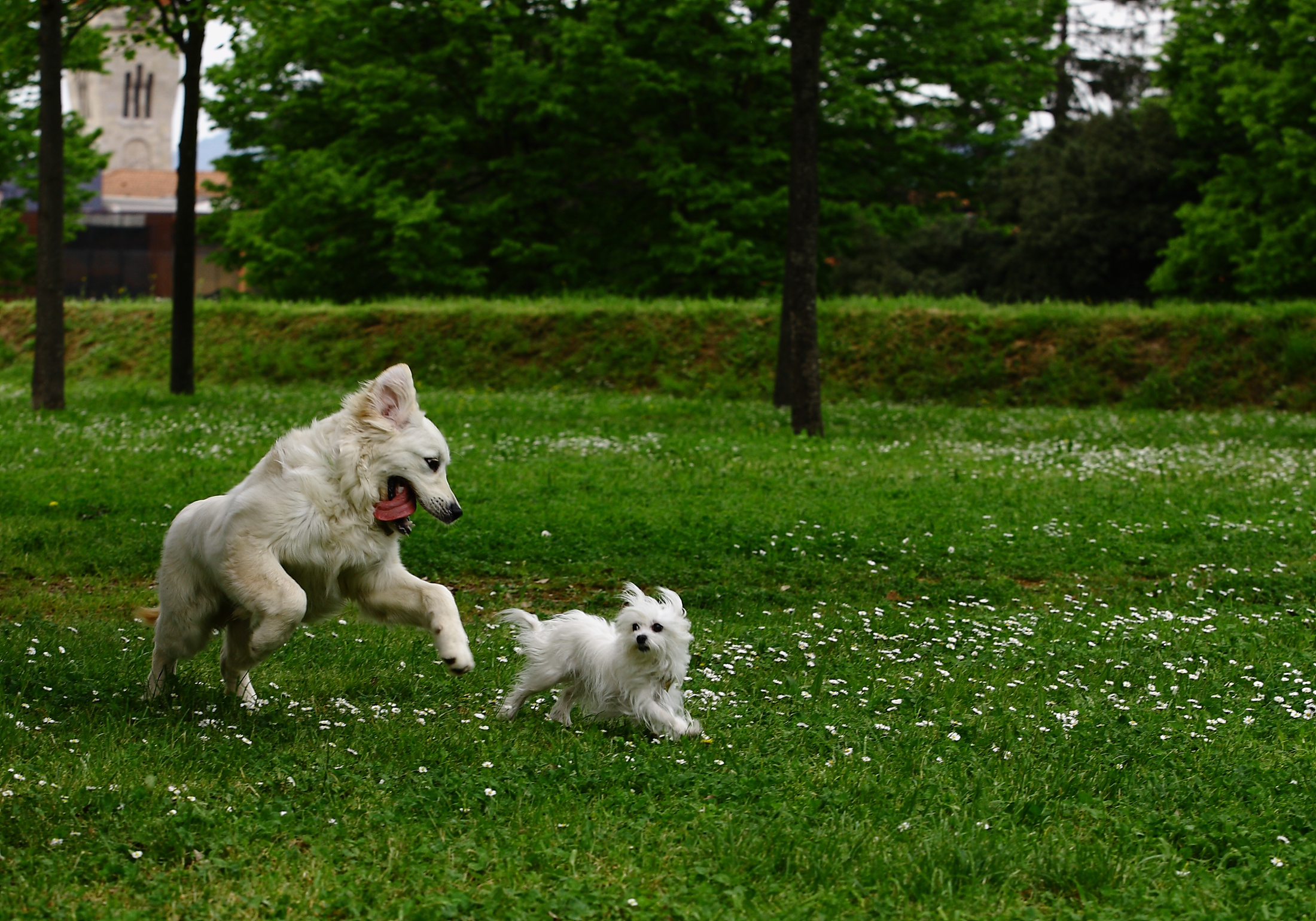 mhhh ... if I catch you ...