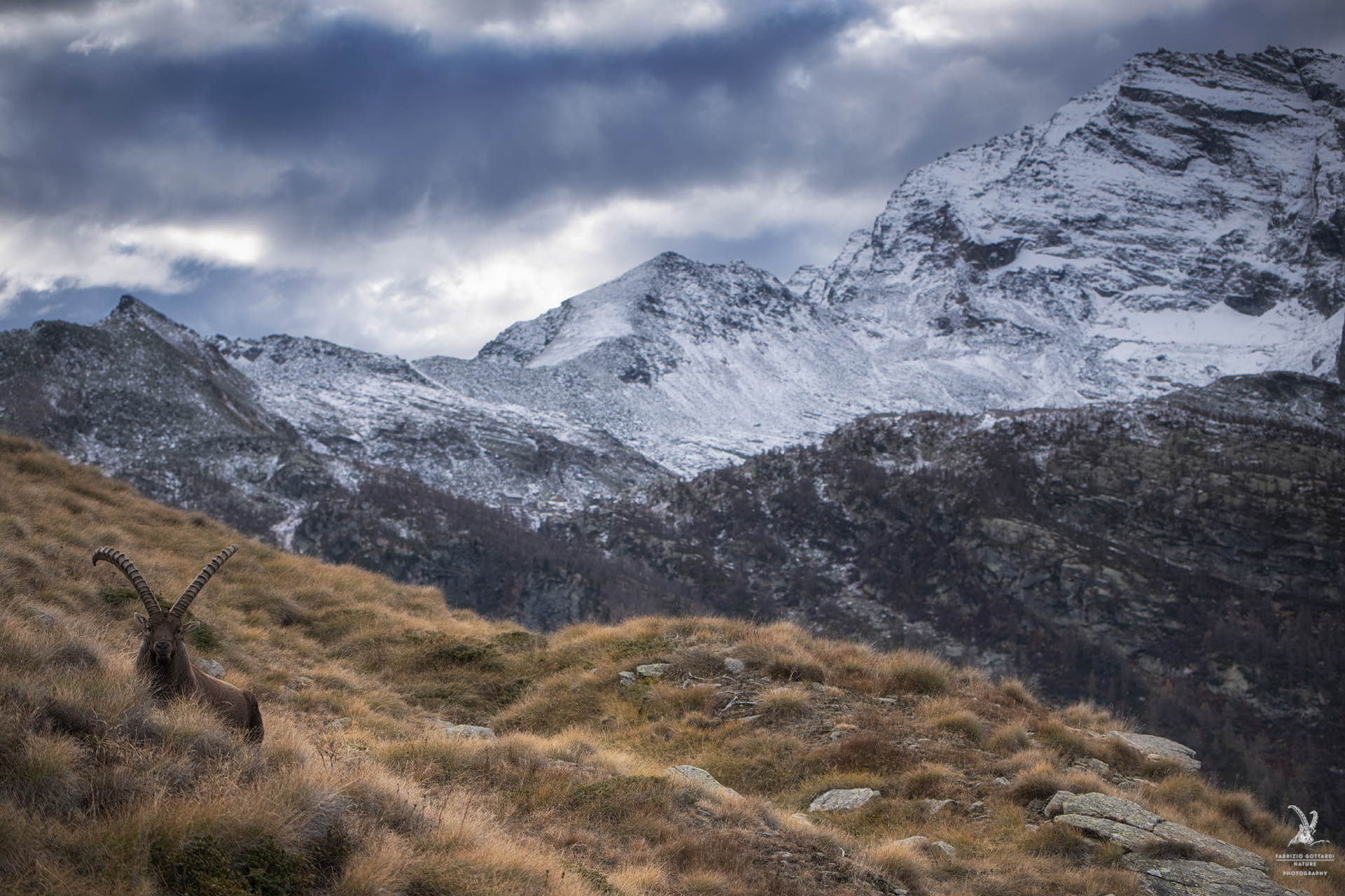 In the presence of the Levanne