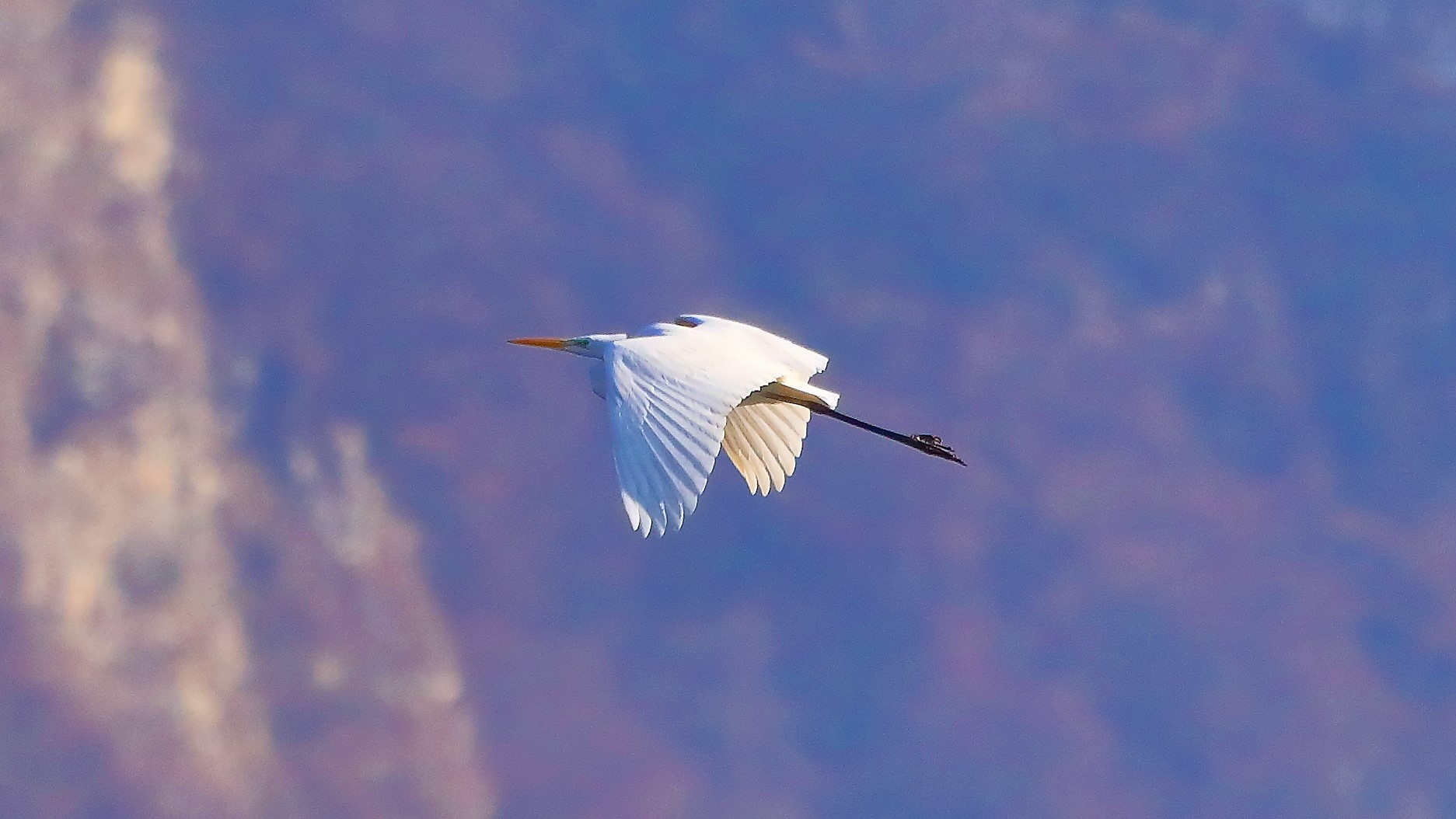 Airone BM 31 gen 2022 --154--