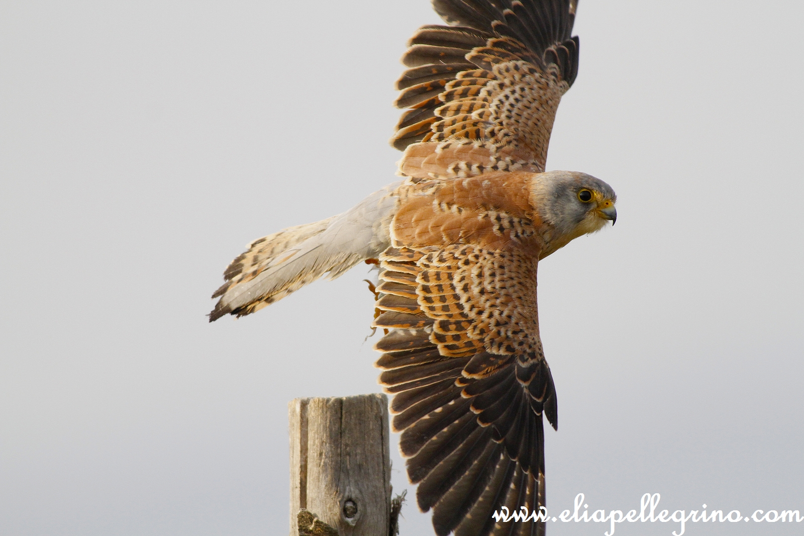 voglio stare vicino vicino