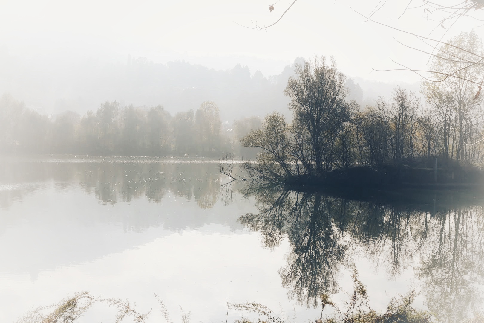 Reflections