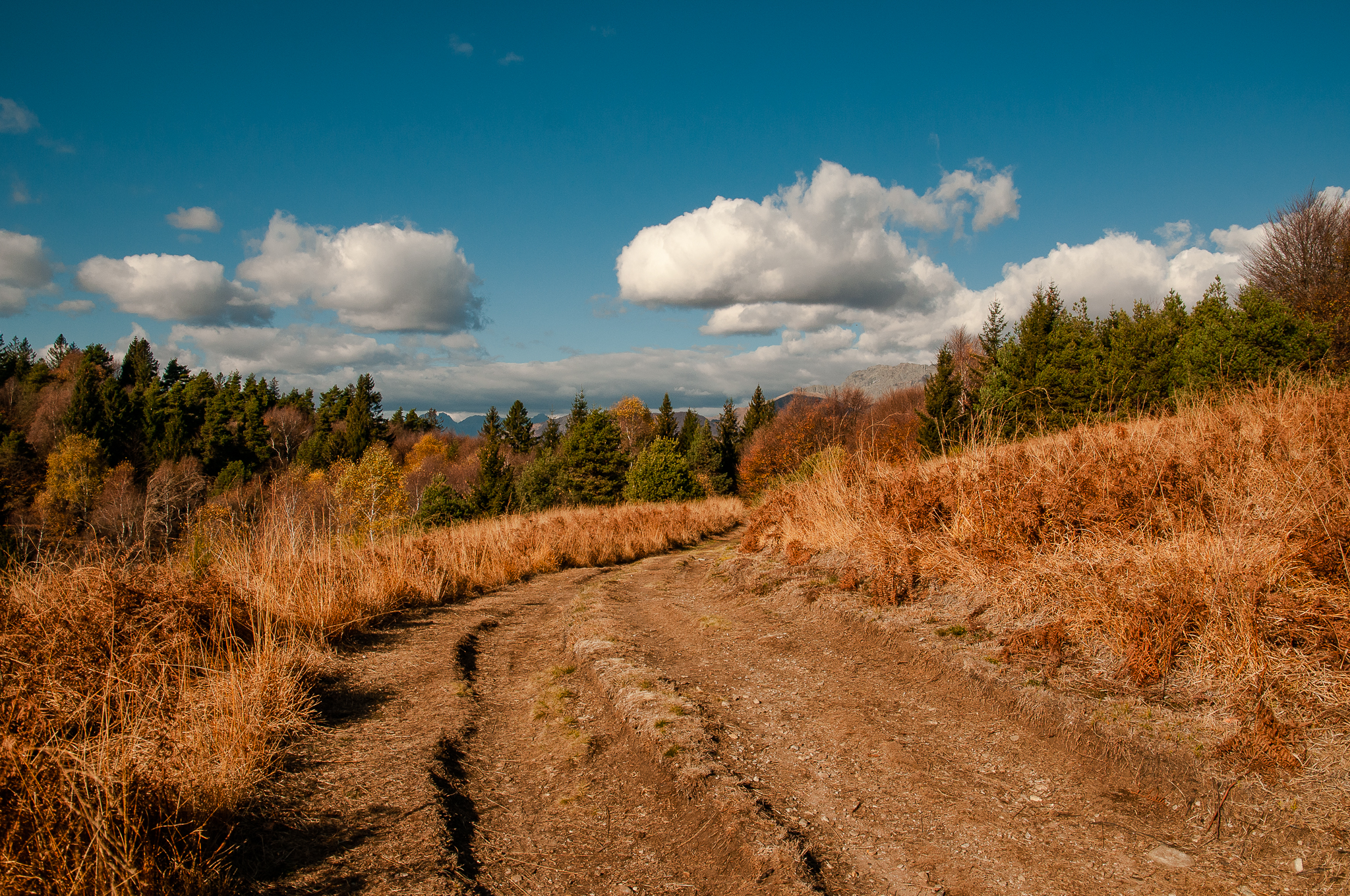 autunno