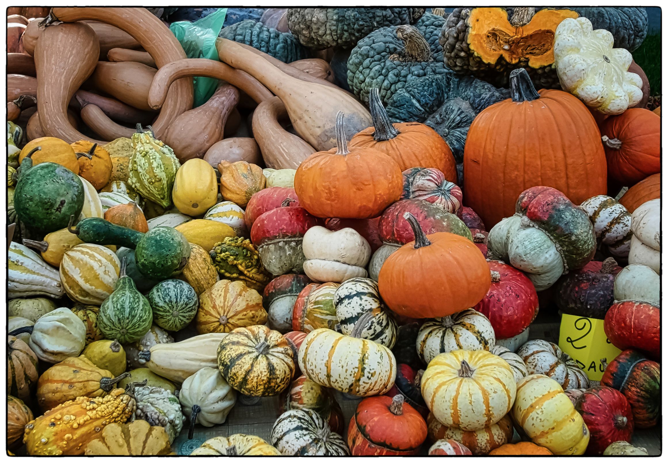 Süc e melòn a la so stagiòn