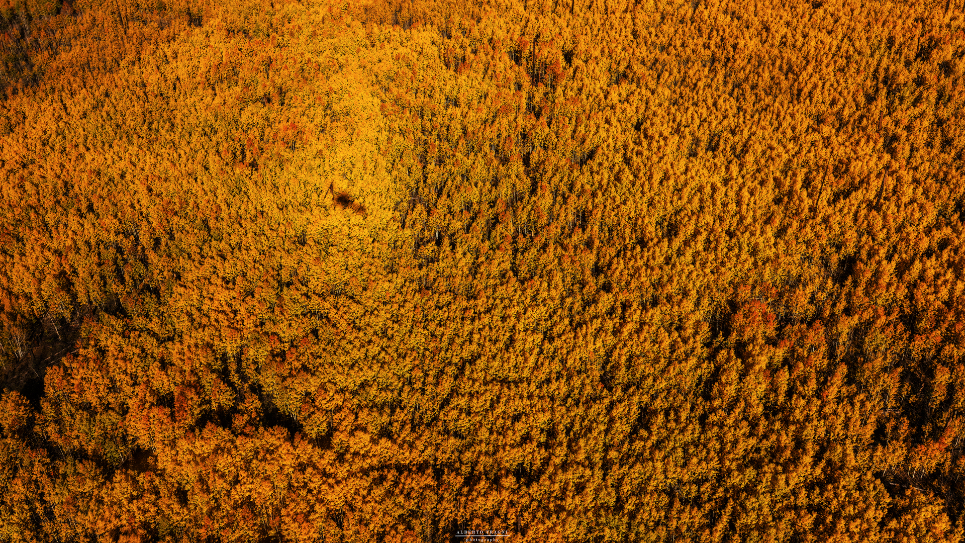 n it was all yellowwww