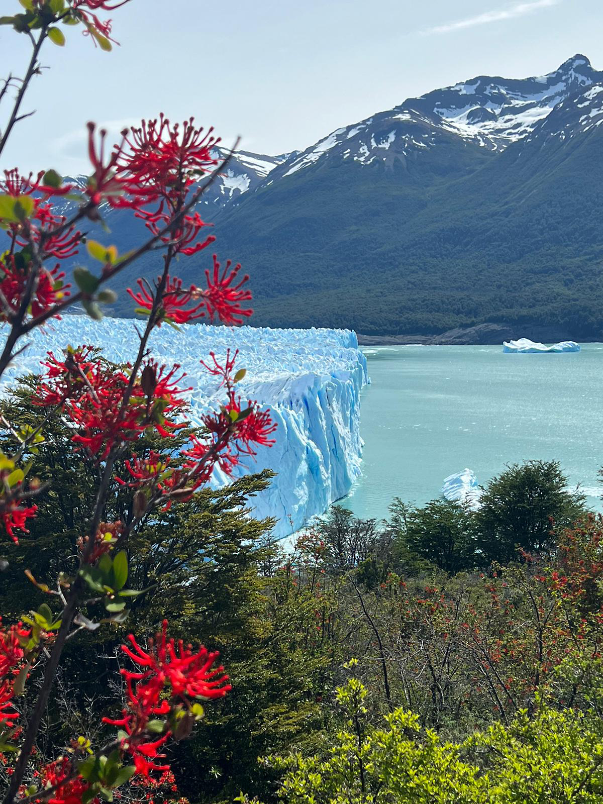 Perito Moreno