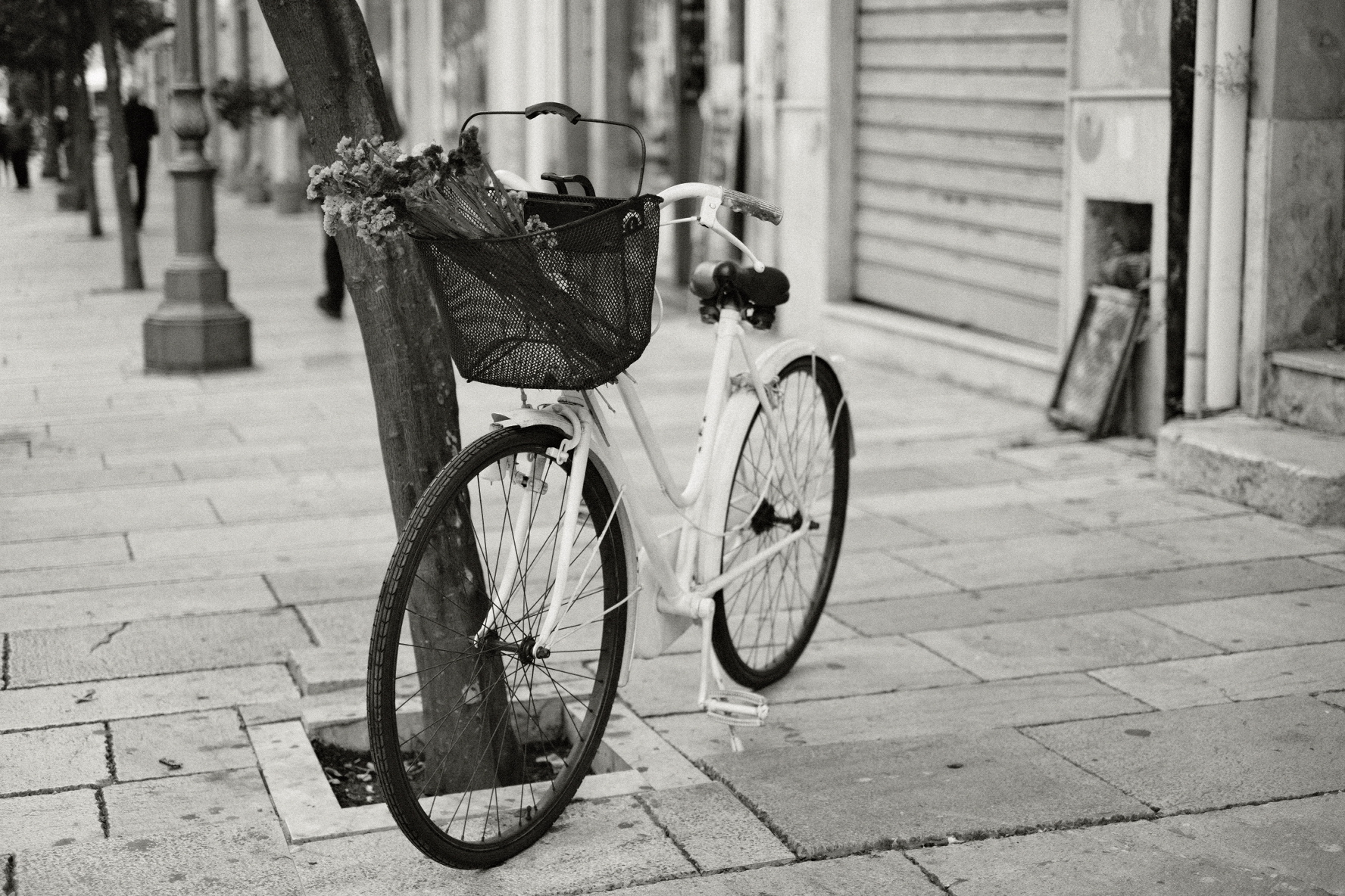 Untitled Photo