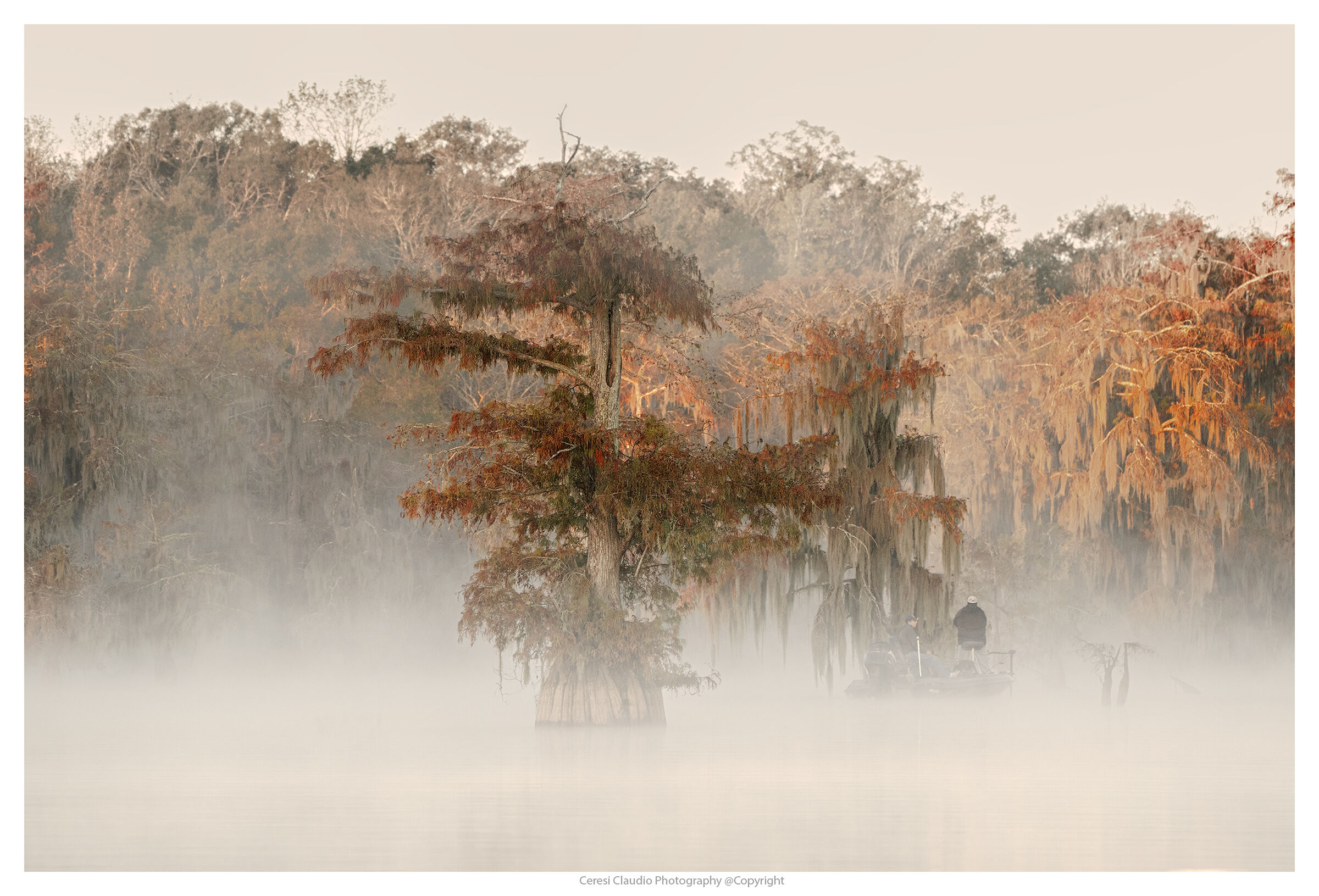 Cypresses & Fishermen