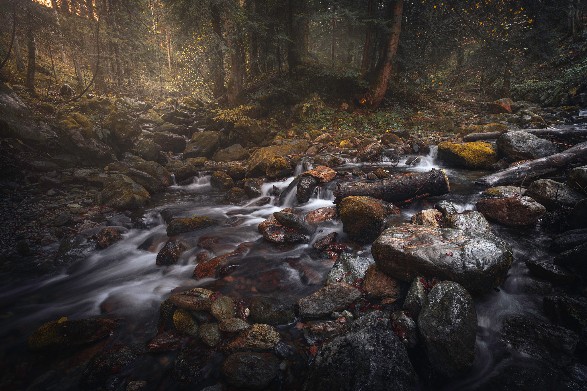 Upon Fallen Autumn Leaves