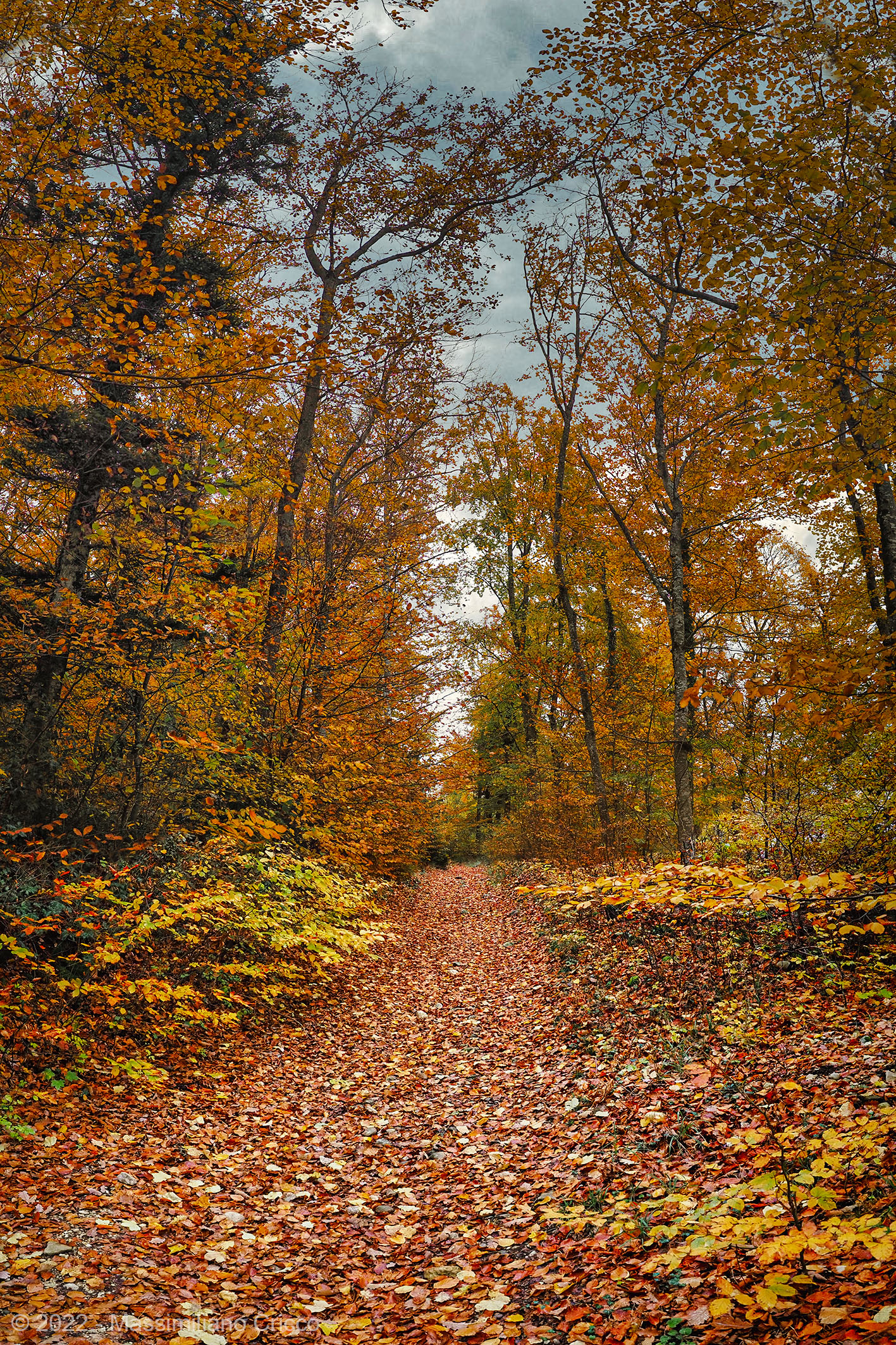 Autunno nel cuore della Foresta, Vuiteboeuf, Svizzera