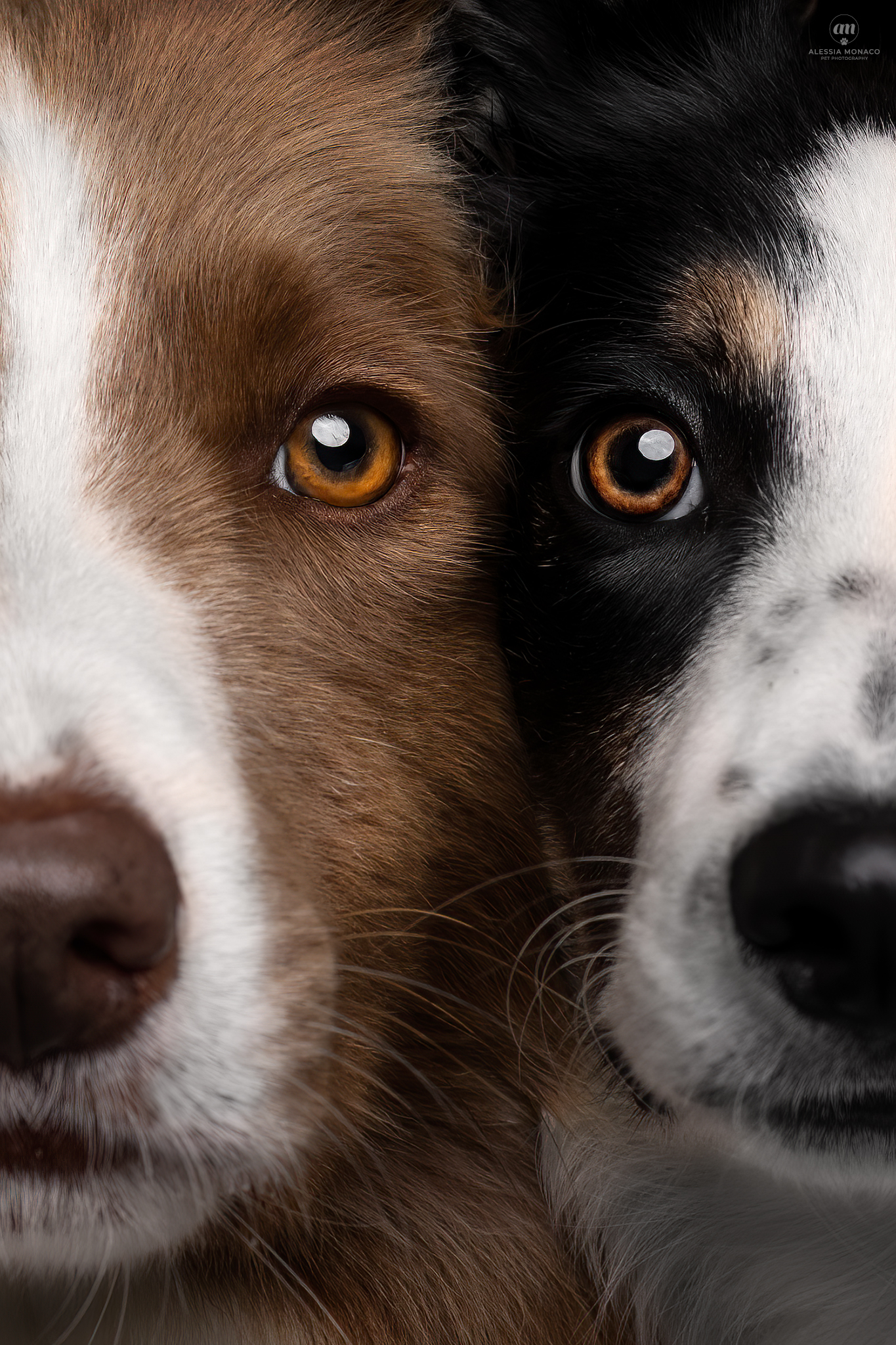 Bit e Sole - made with Martina Stanchi