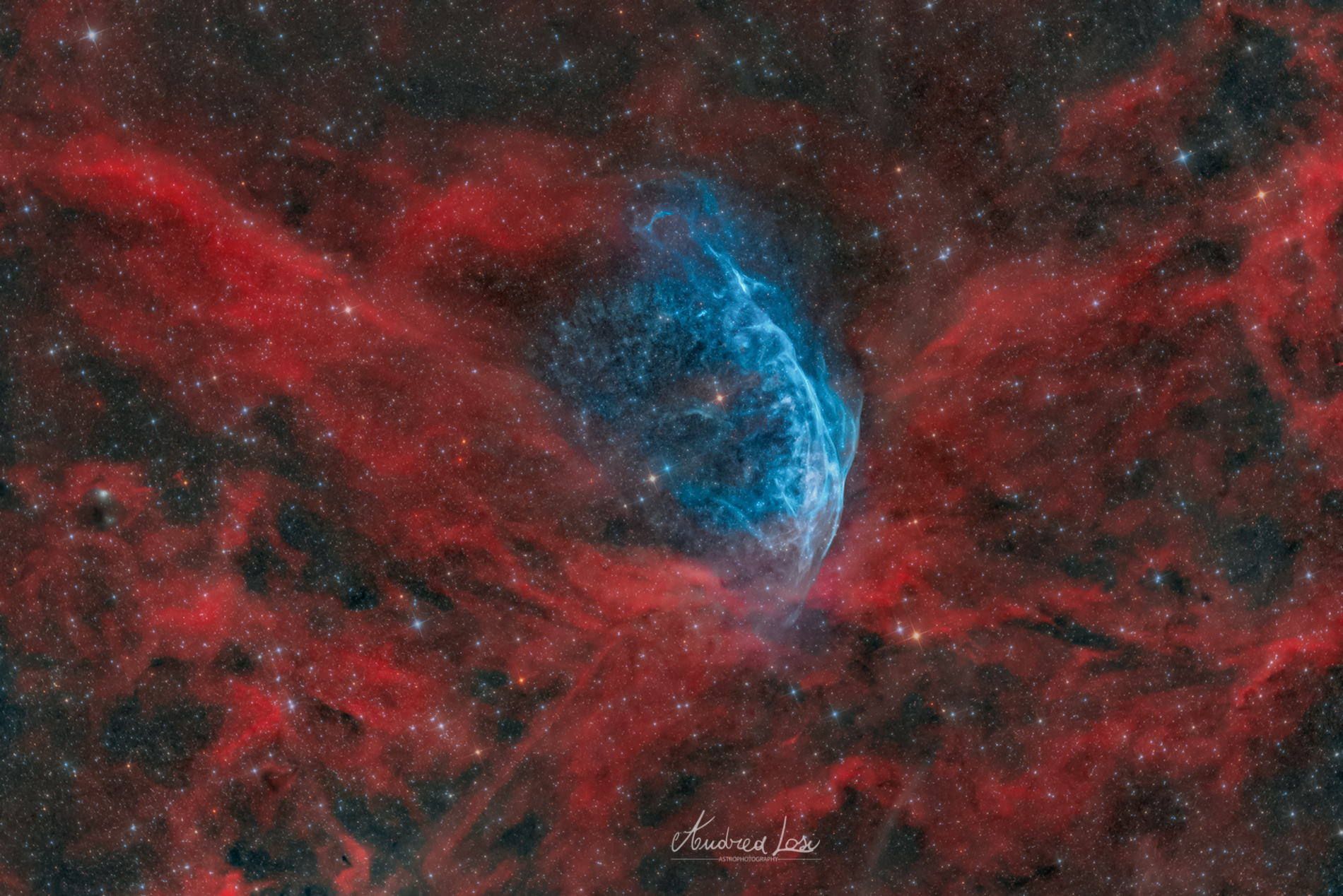 La Stella di Wolf Rayet wr-134