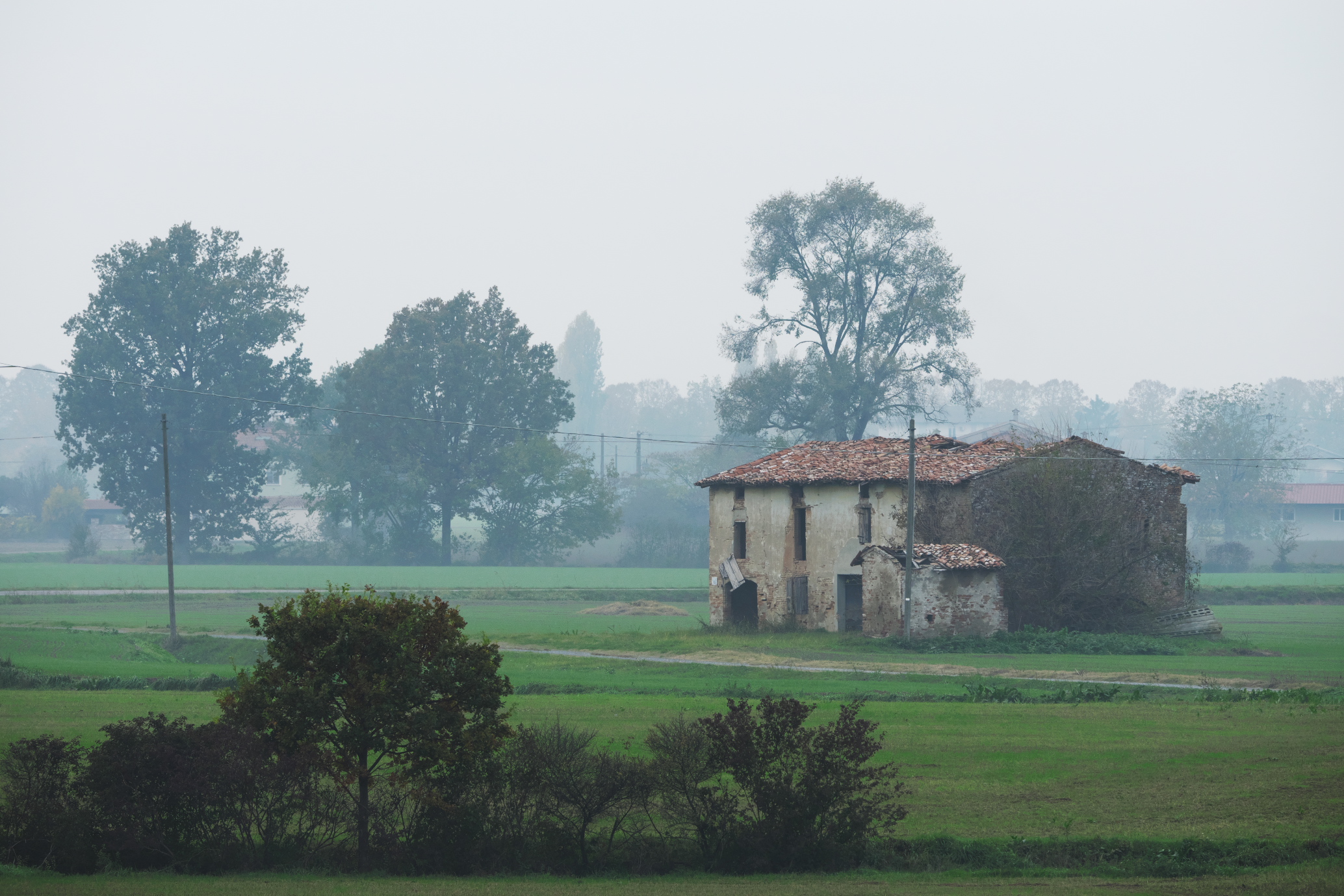 Untitled Photo