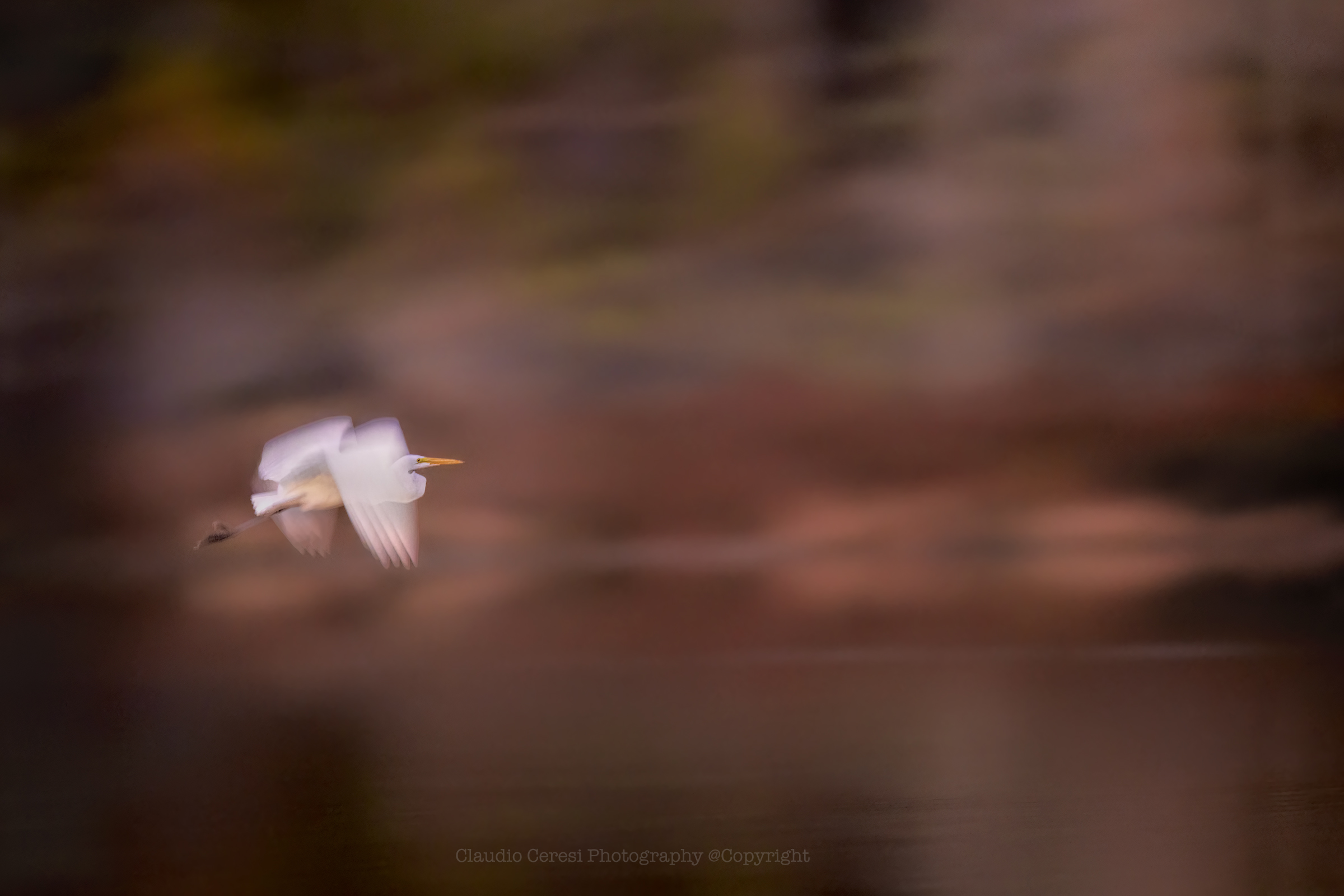 Panning