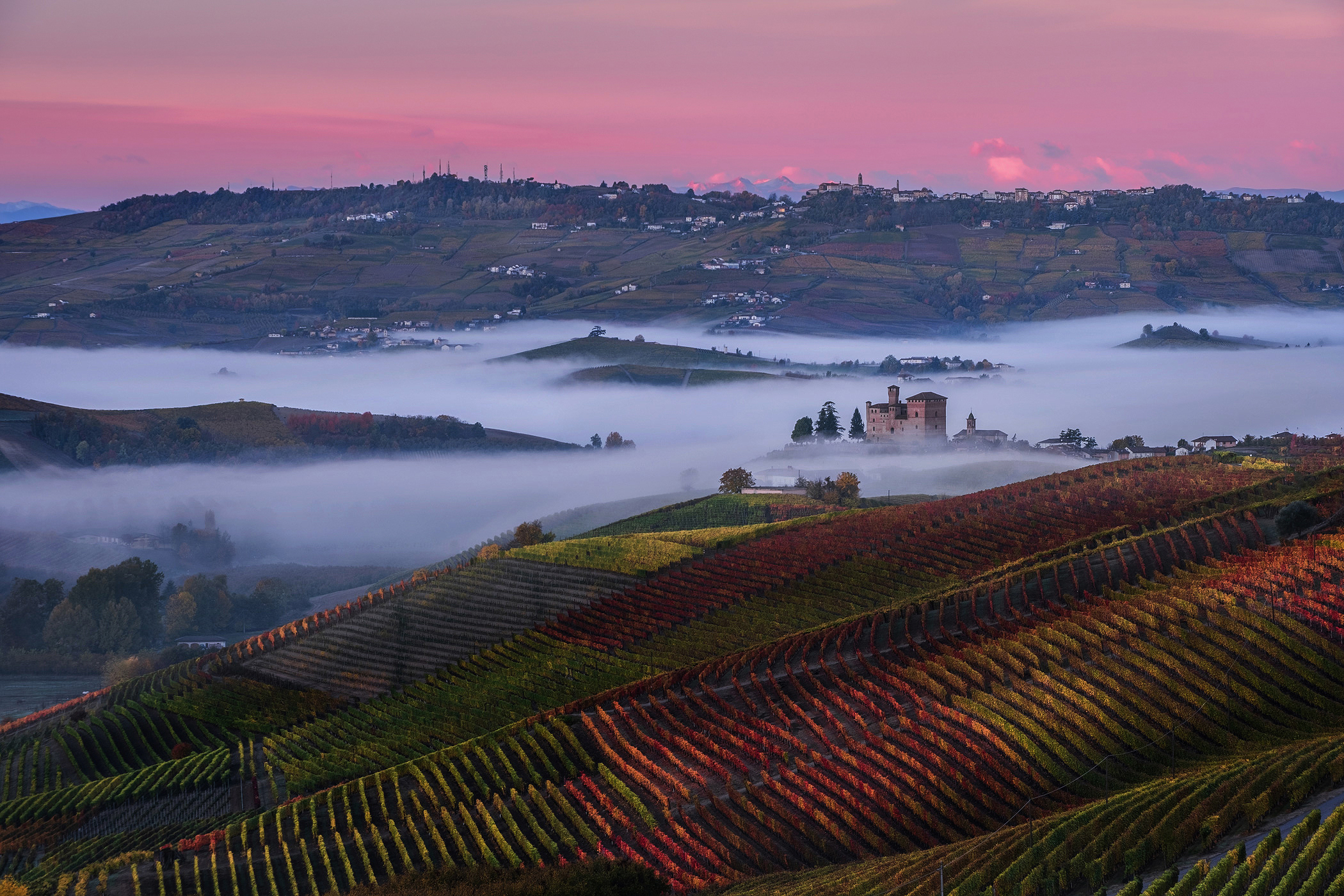In the heart of the Langhe