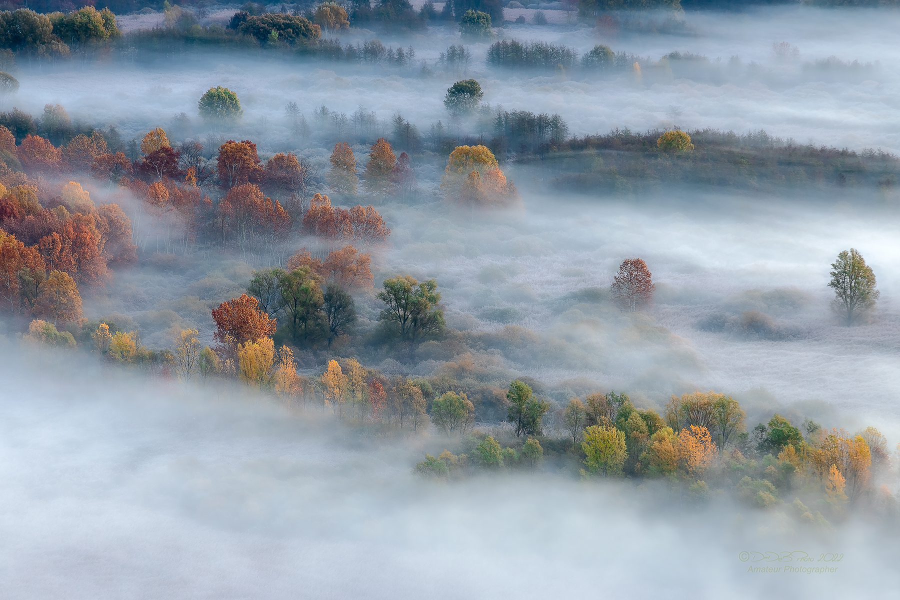 L'inverno è sulla mia testa, primavera è n...