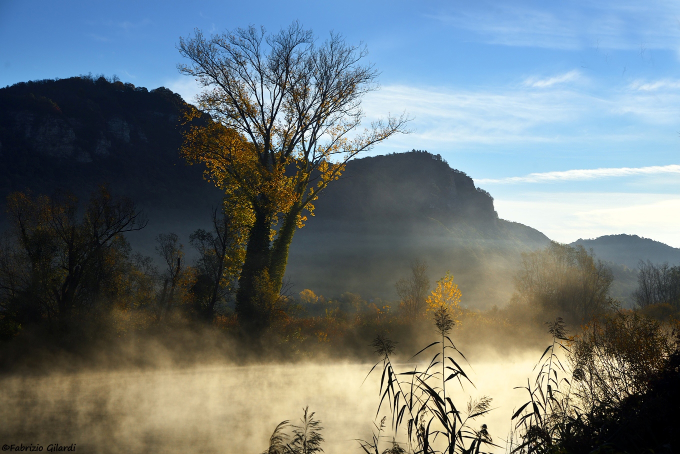 ... foggy morning...