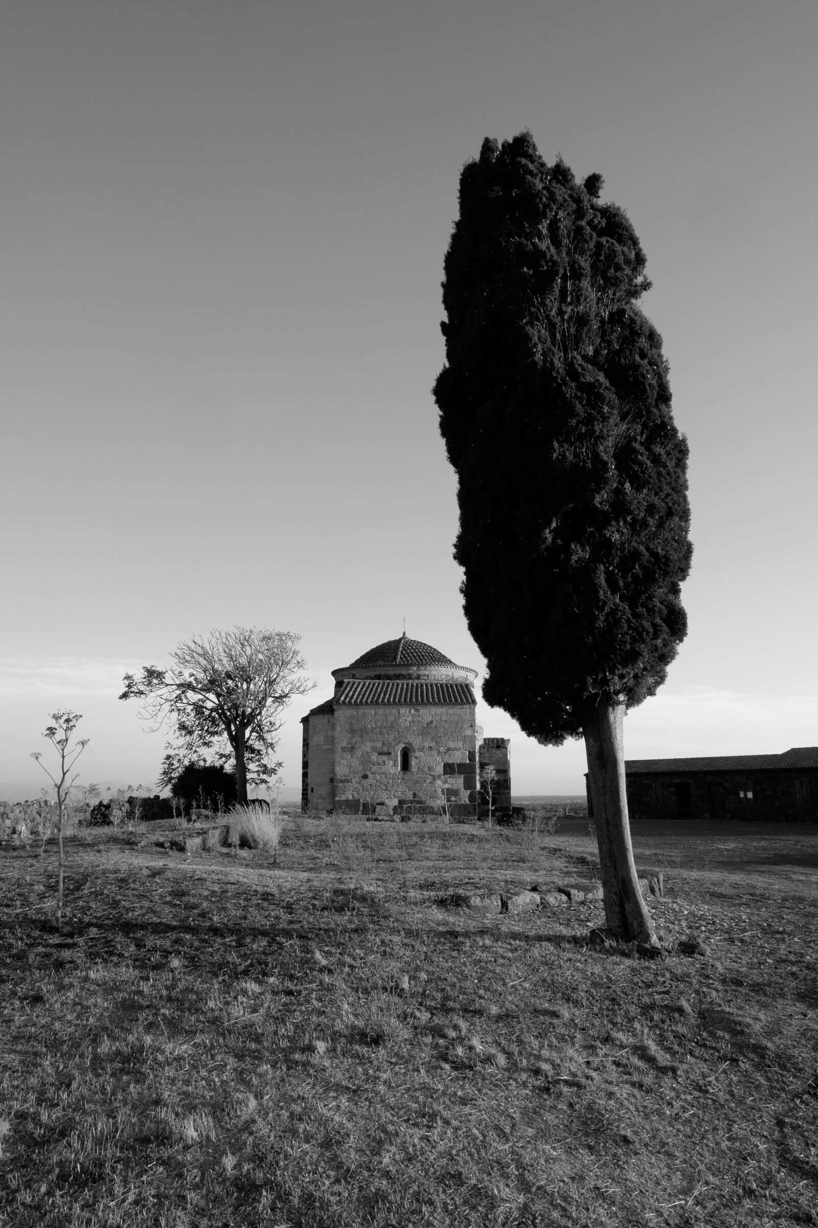 The church and the cypress