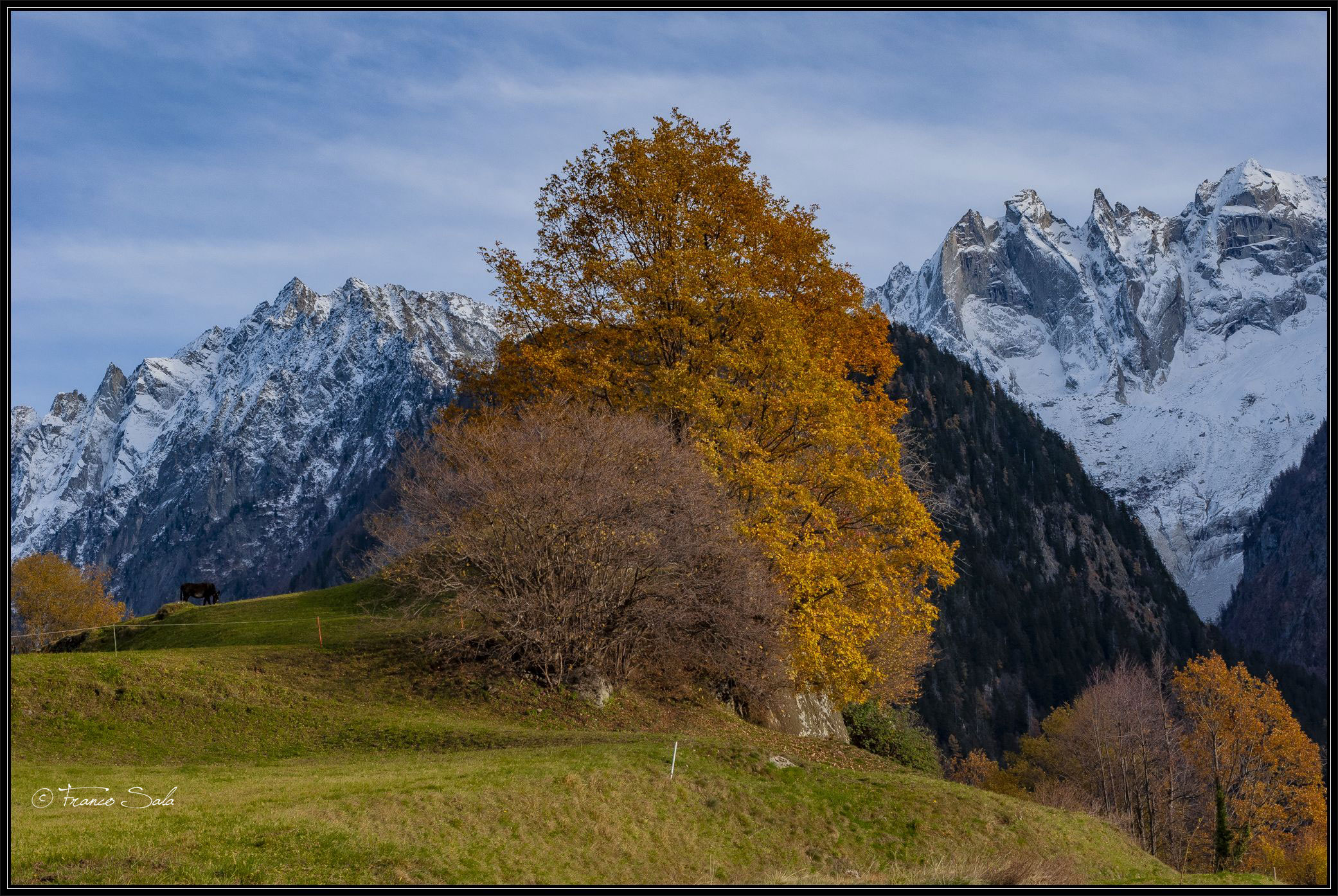 Gli ultimi colori dell'autunno
