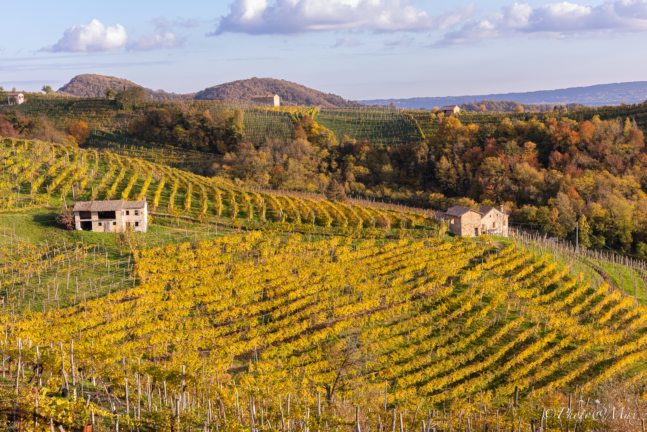 autumn in the Prosecco hills