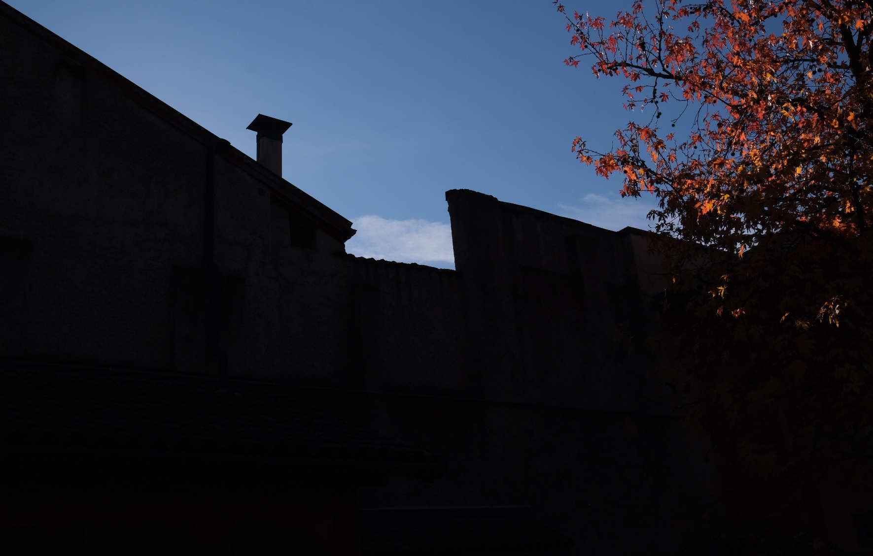 Untitled Photo