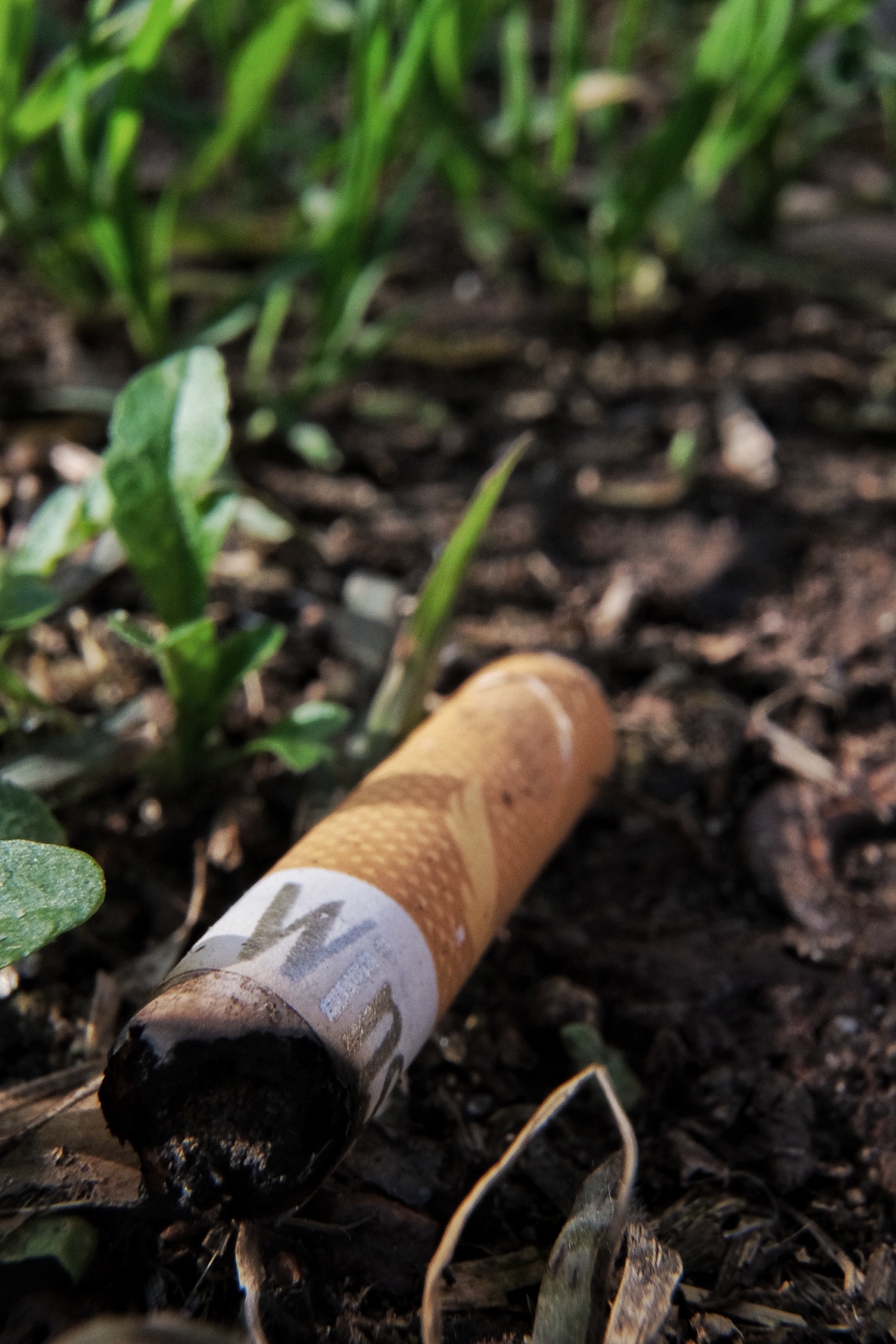 Macro cigarette