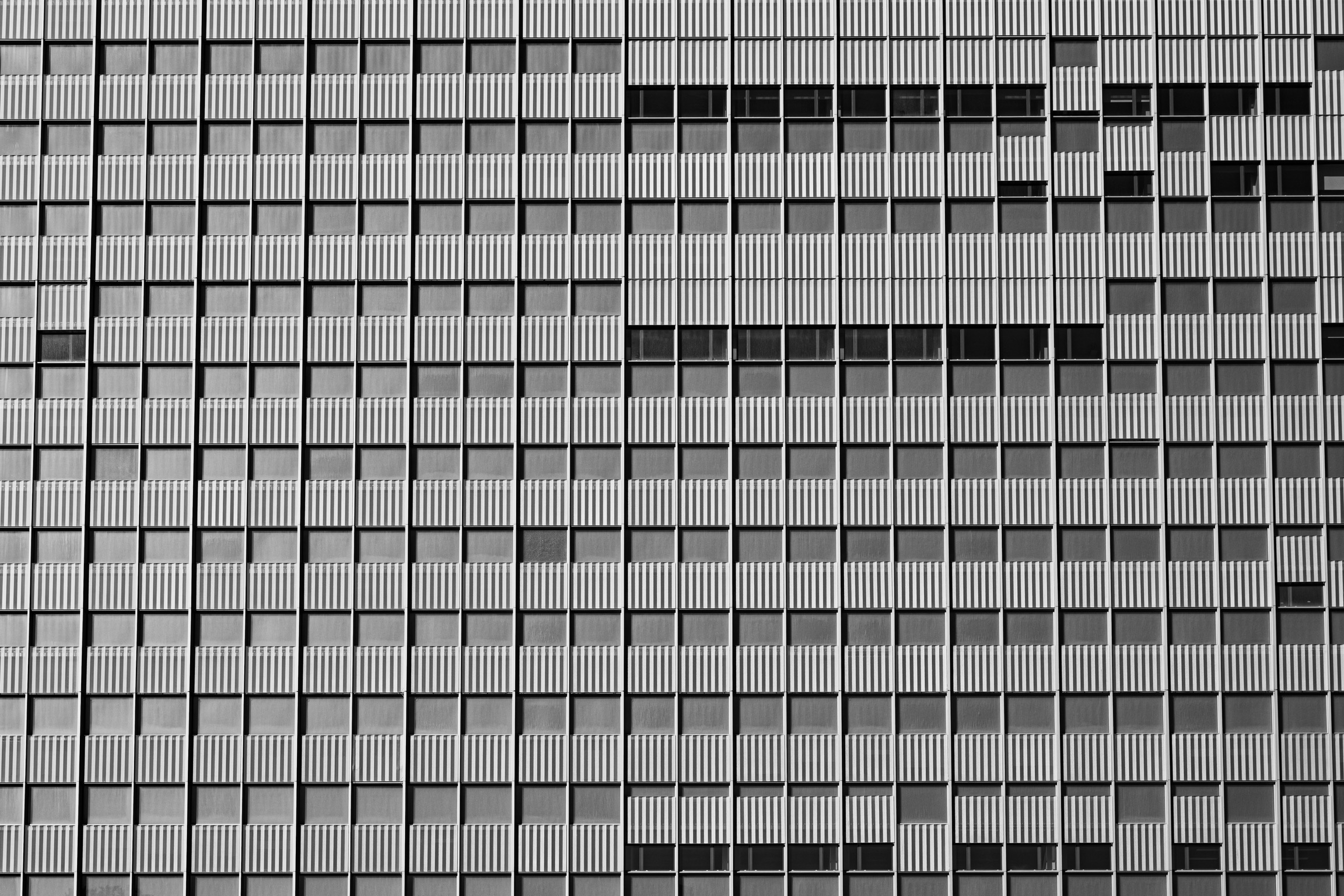 Untitled Photo