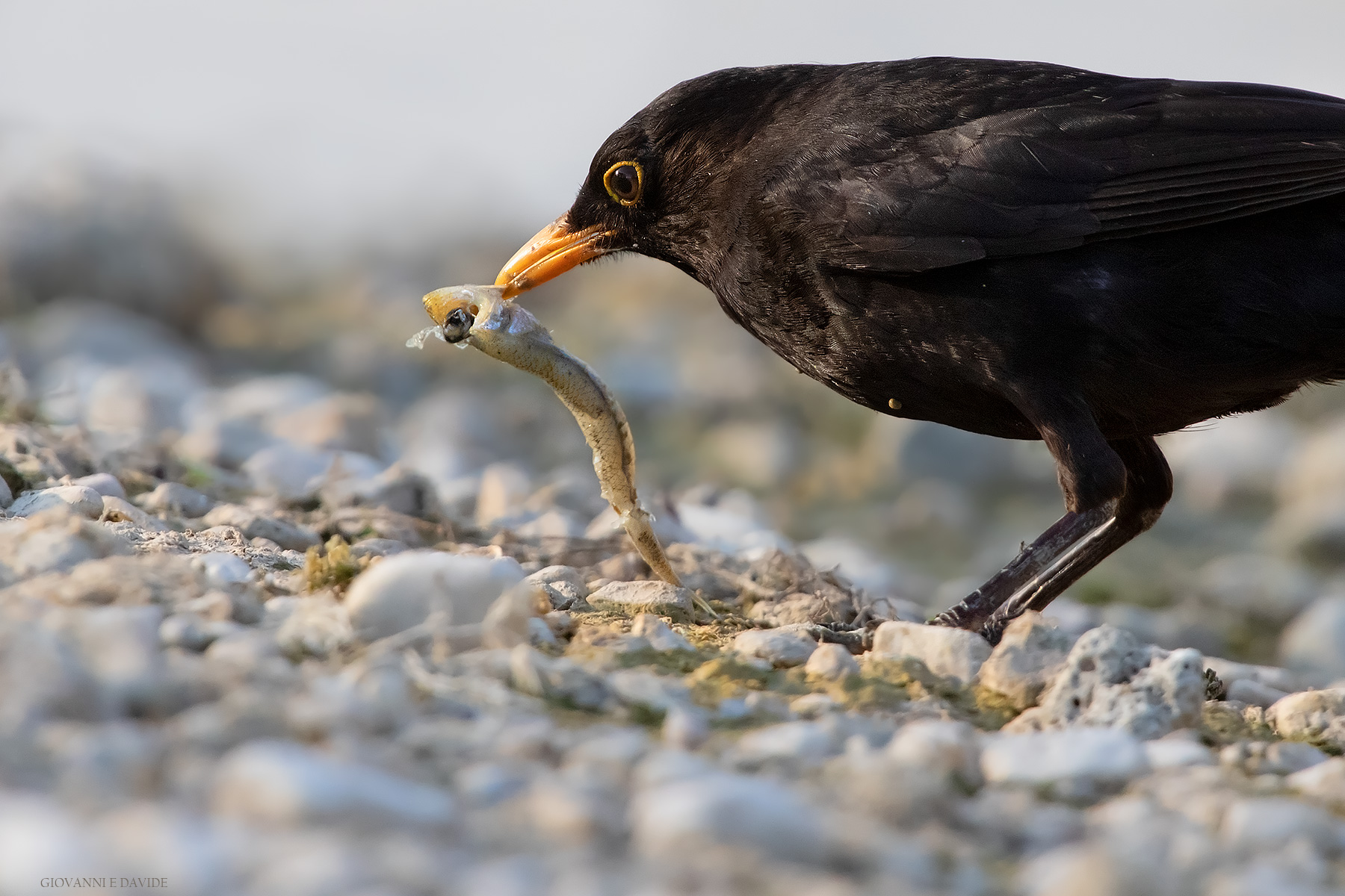 ... I didn't know...