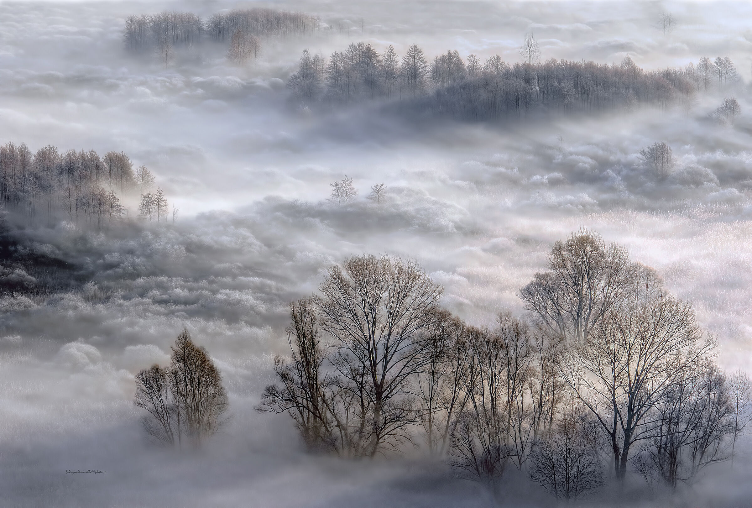 Frosty landscape