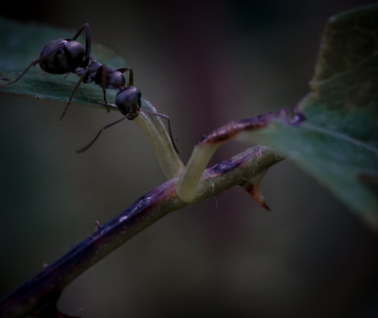 Untitled Photo