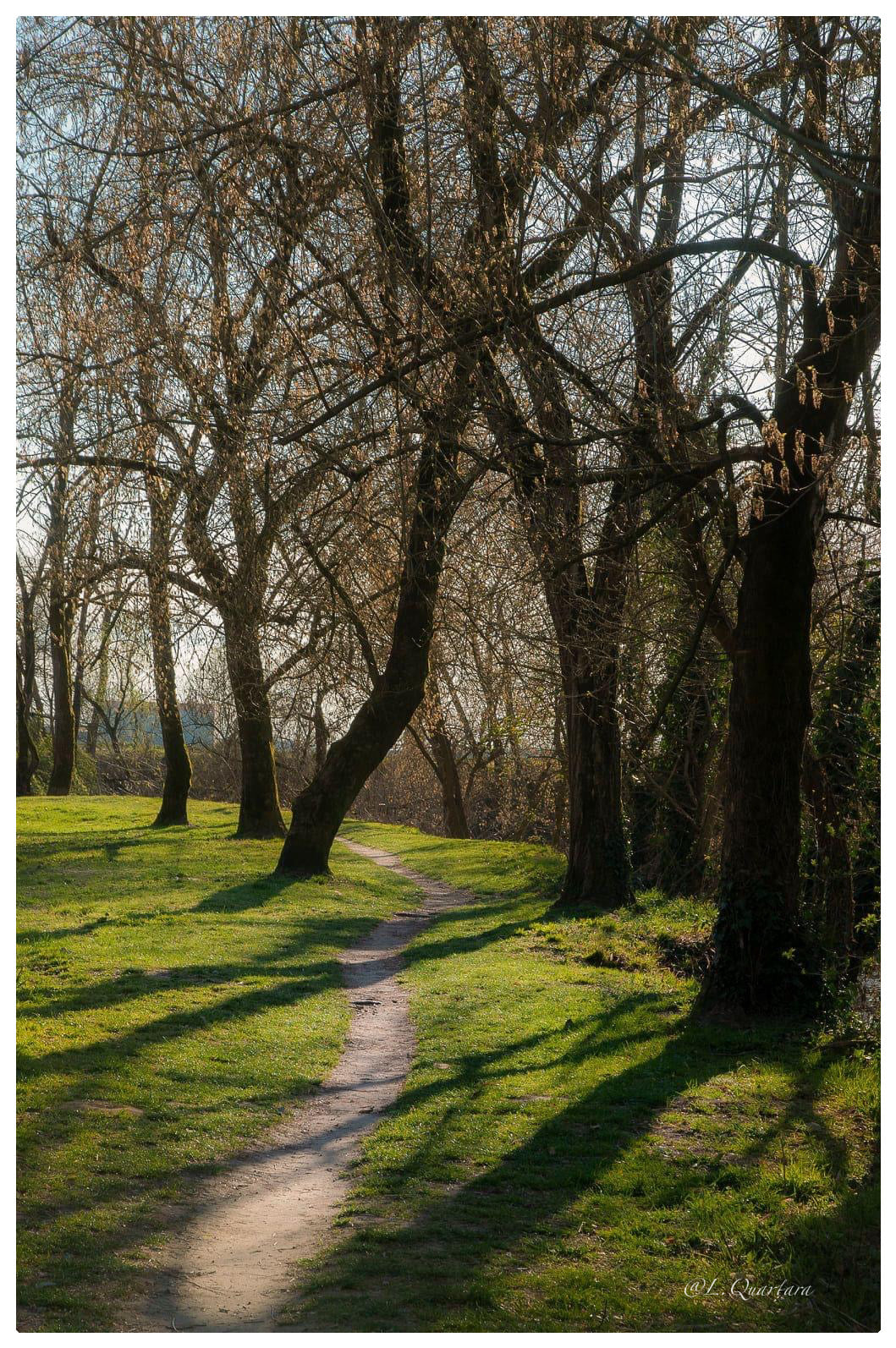 Parco dell'Agogna