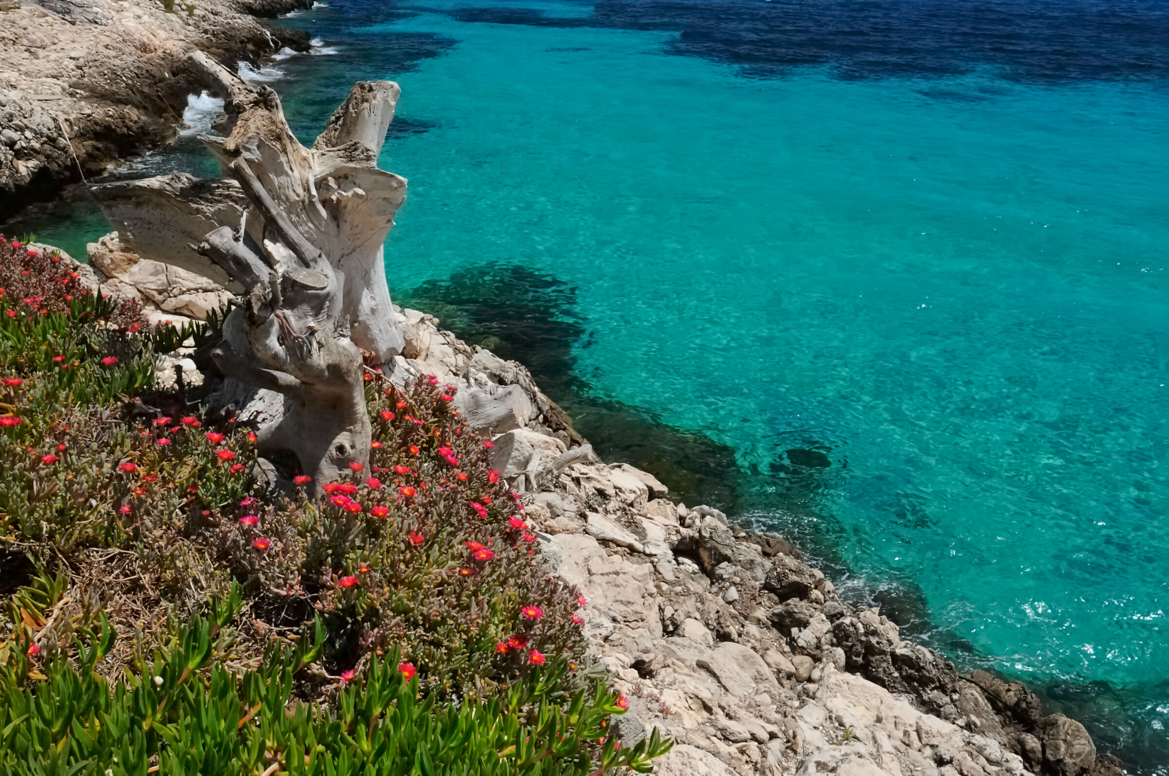 Glimpses of Sicily